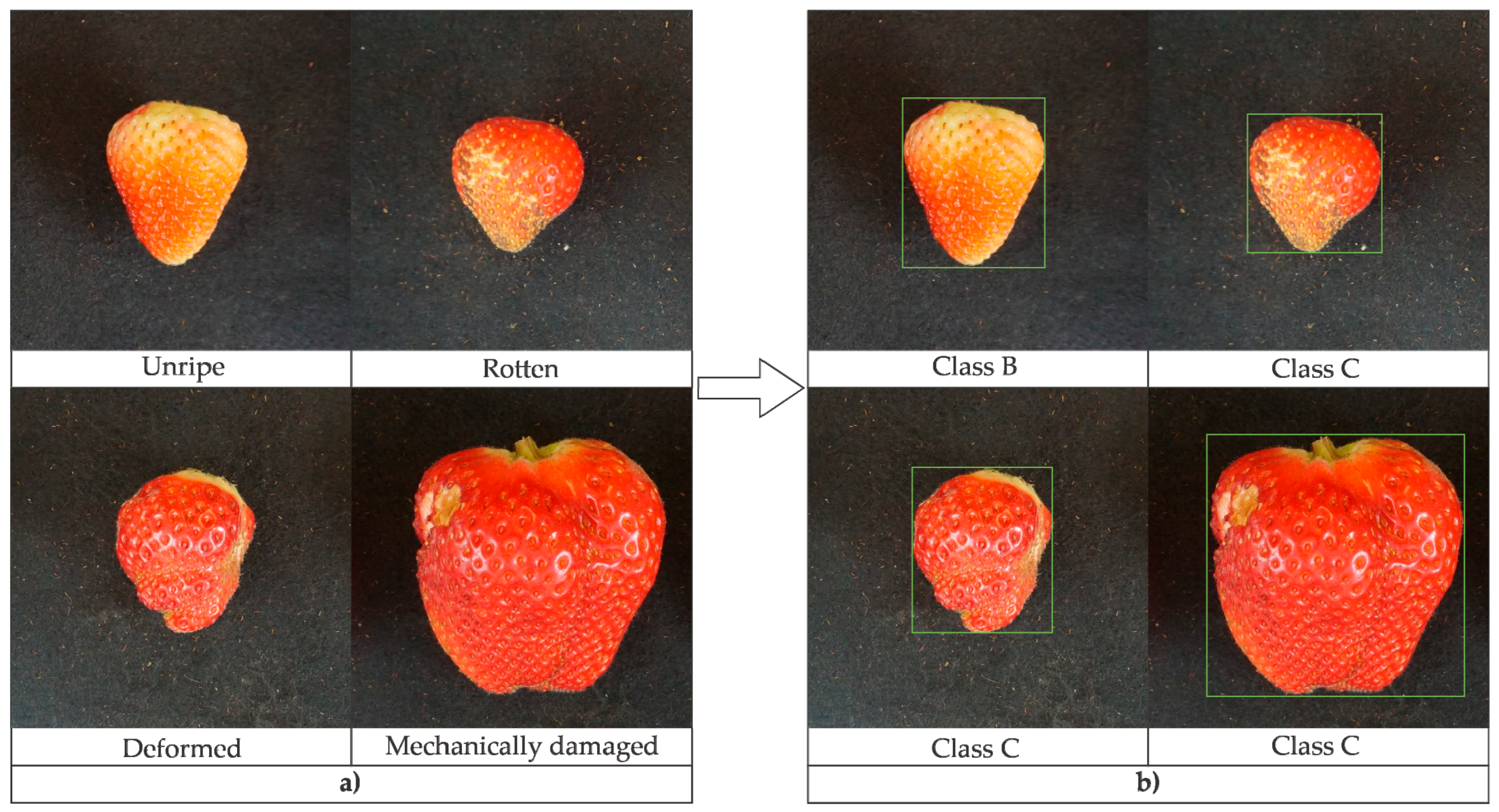 Applsci 14 07771 g002