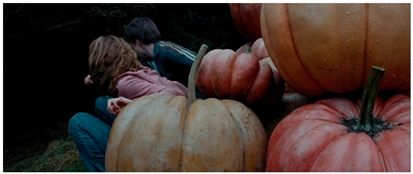 Applsci 14 07782 i009