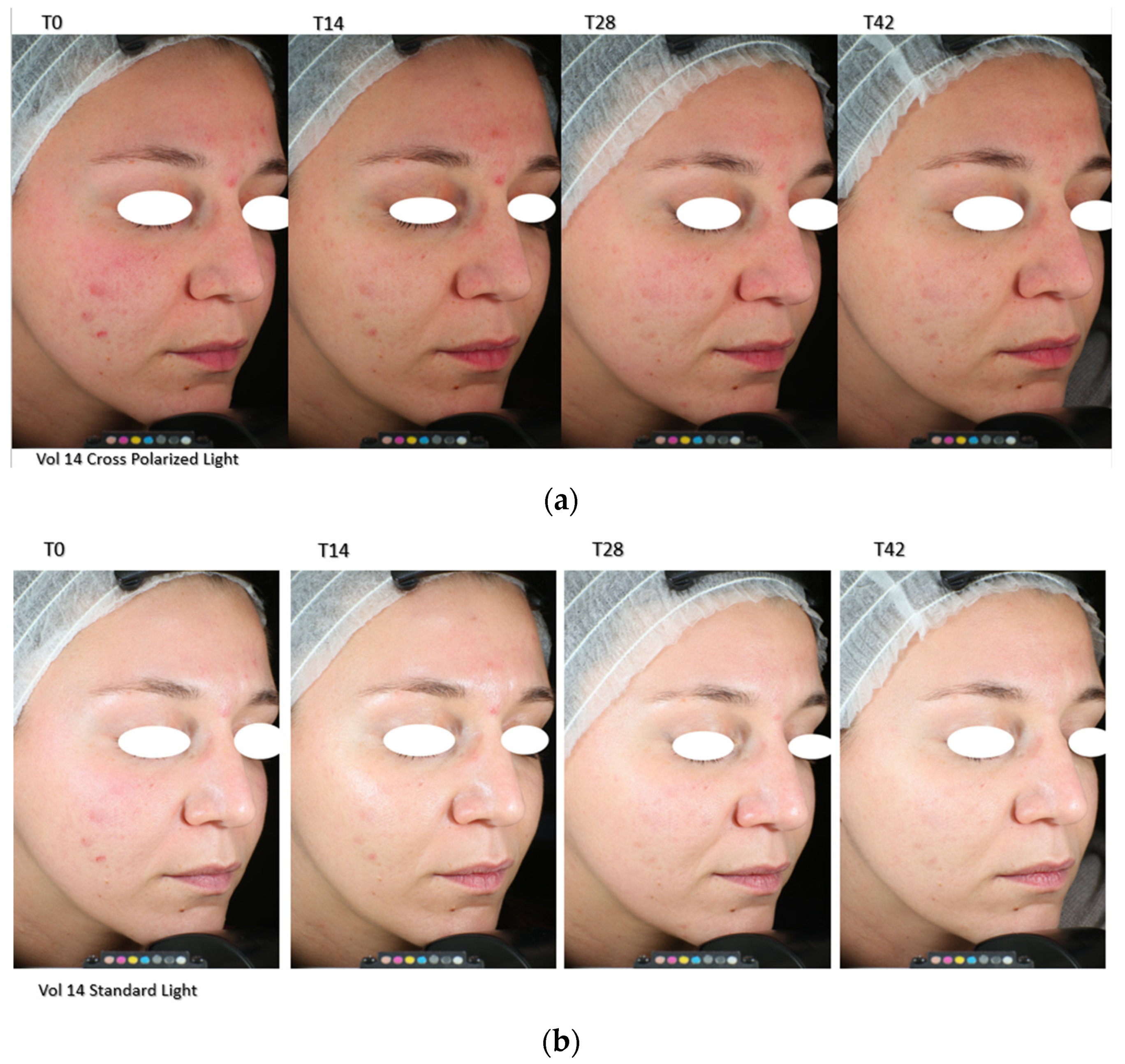 Applsci 14 07799 g001