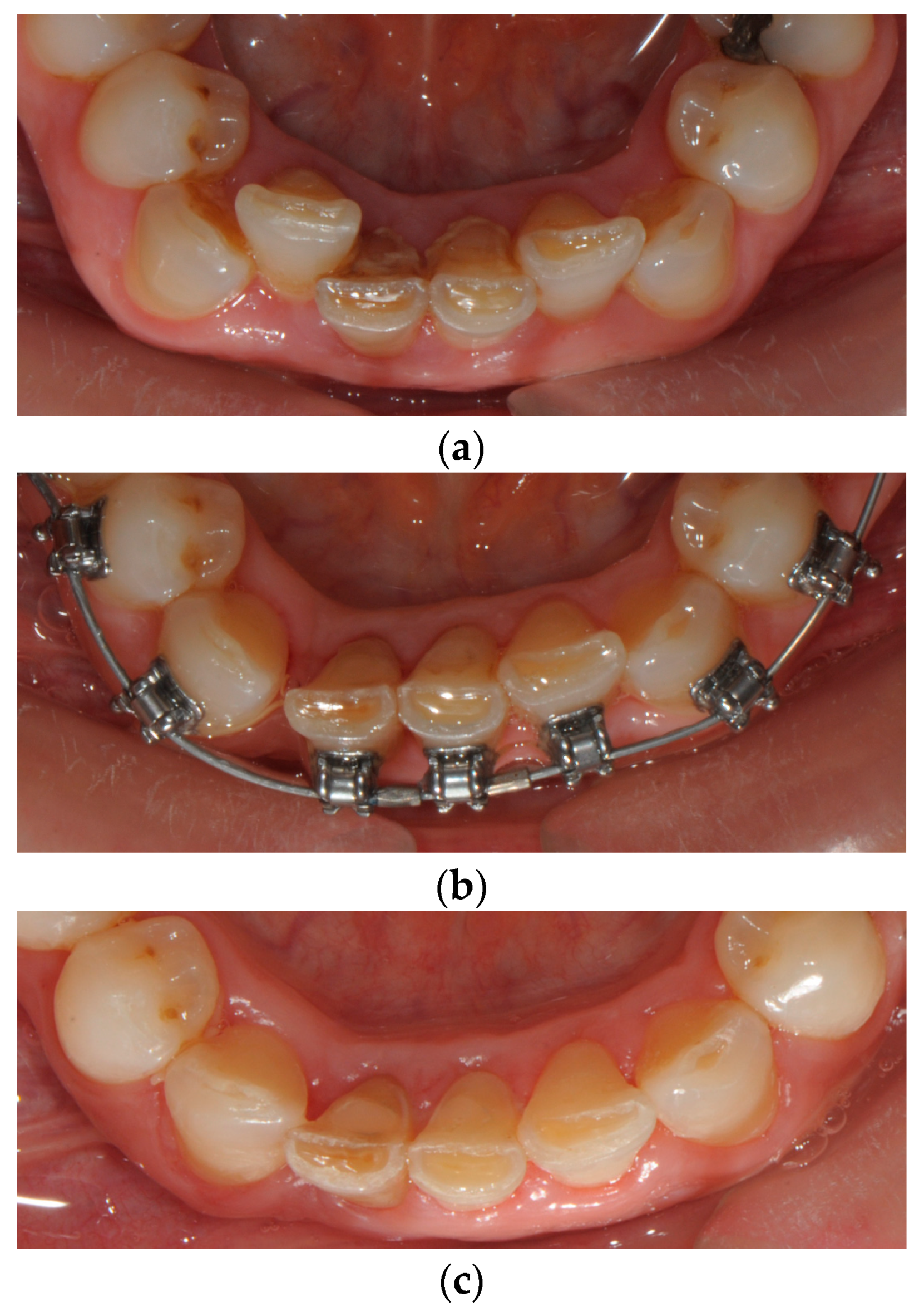 Applsci 14 07806 g001 Applsci 14 07806 g001