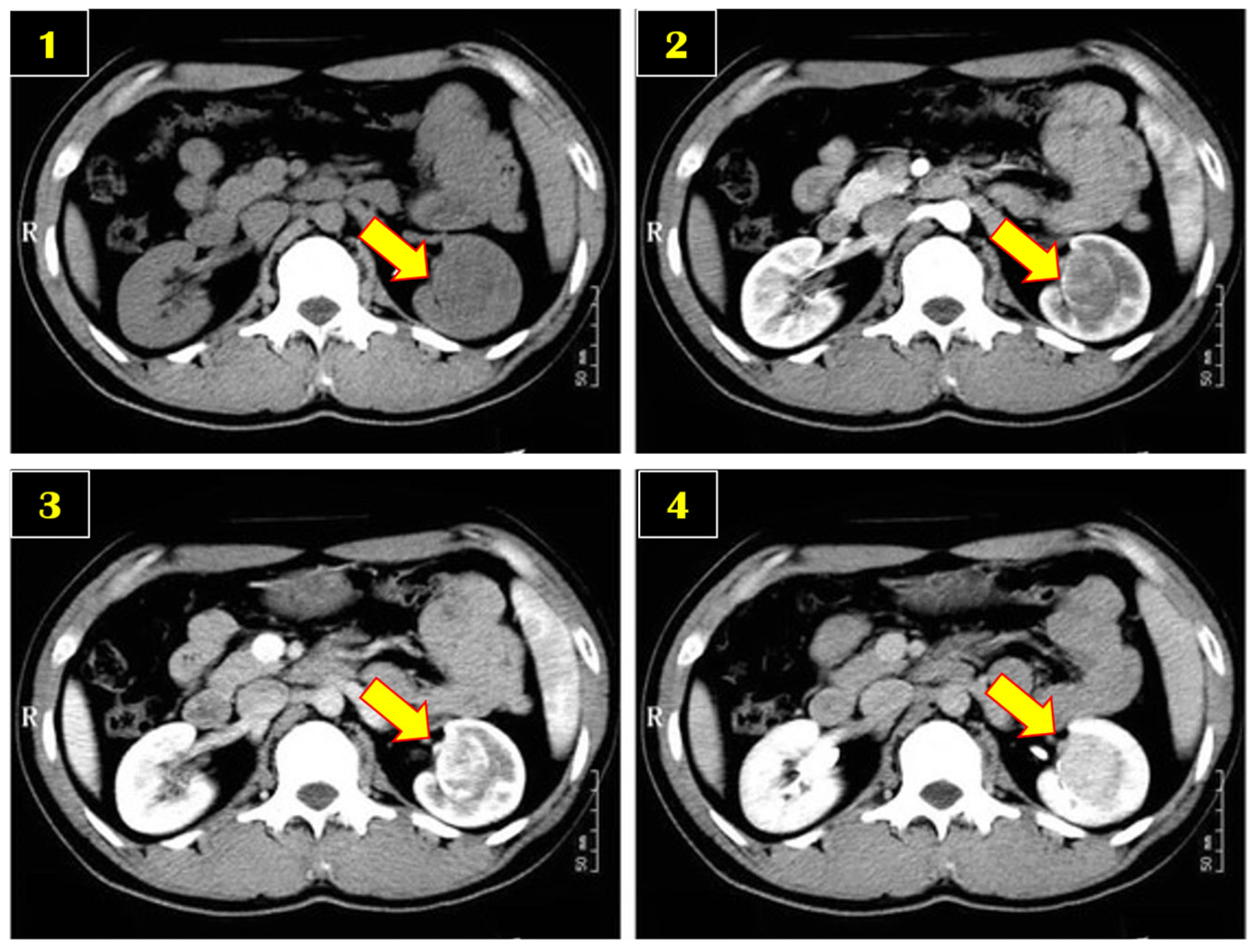 Applsci 14 07822 g001