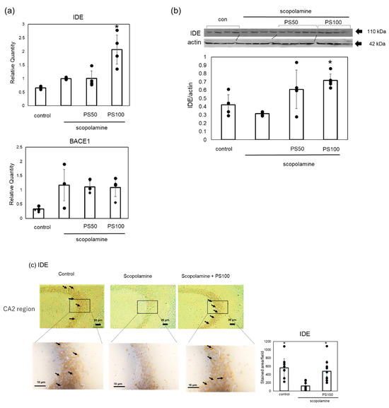 Sulfated Polysaccharides Isolated from Nacre Extract Suppress