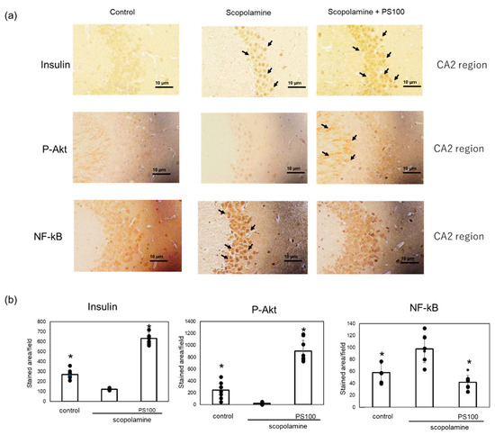 Sulfated Polysaccharides Isolated from Nacre Extract