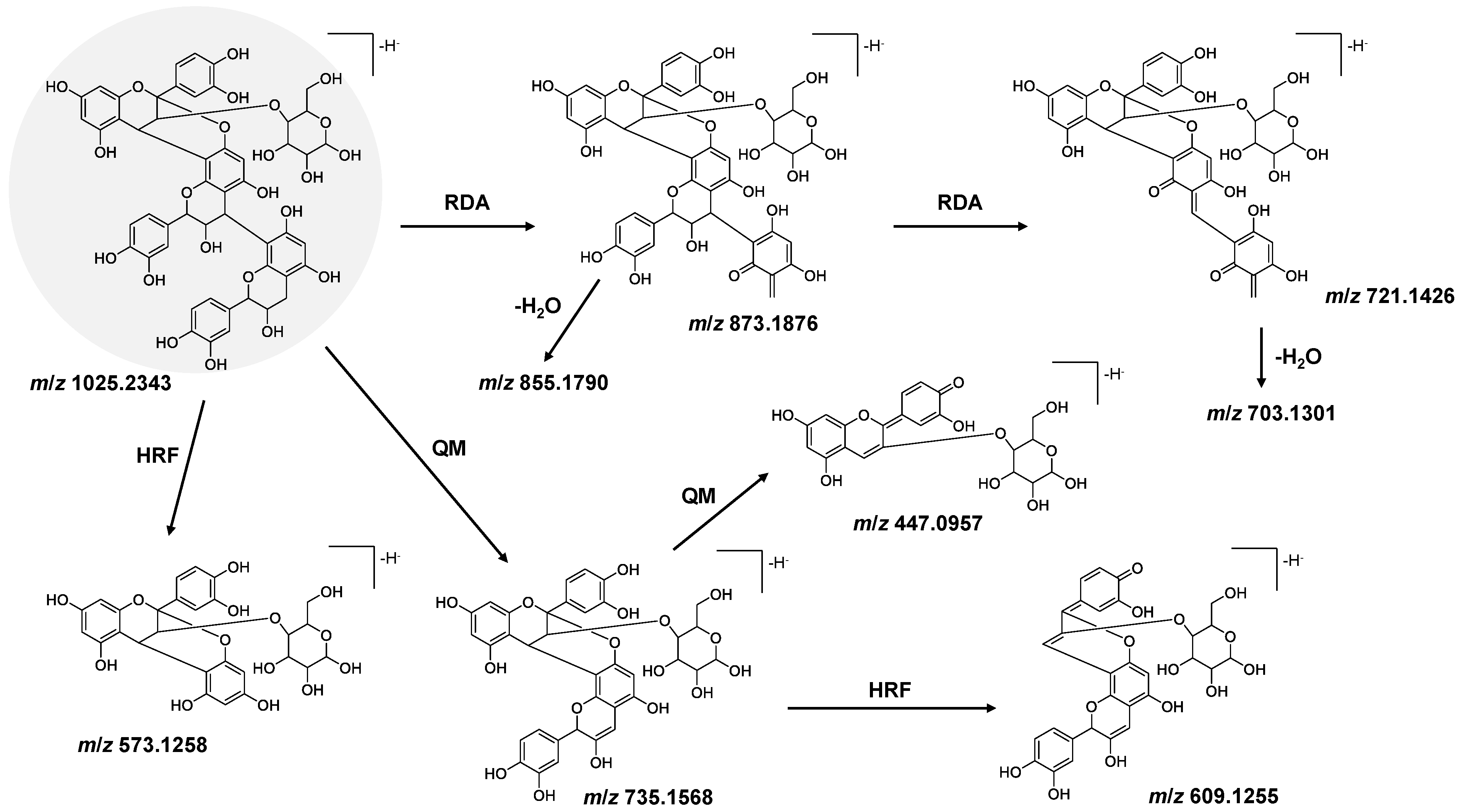 Applsci 14 07839 g004