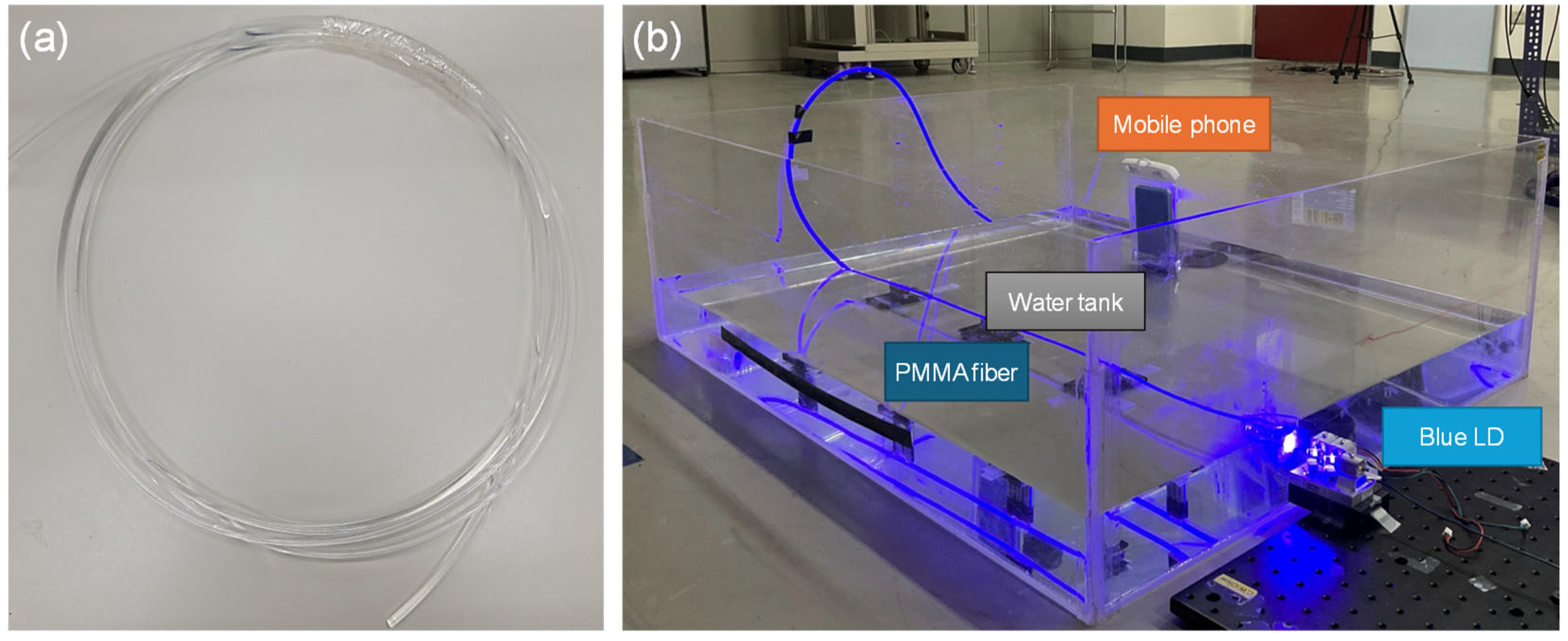 Applsci 14 07840 g002 Applsci 14 07840 g002