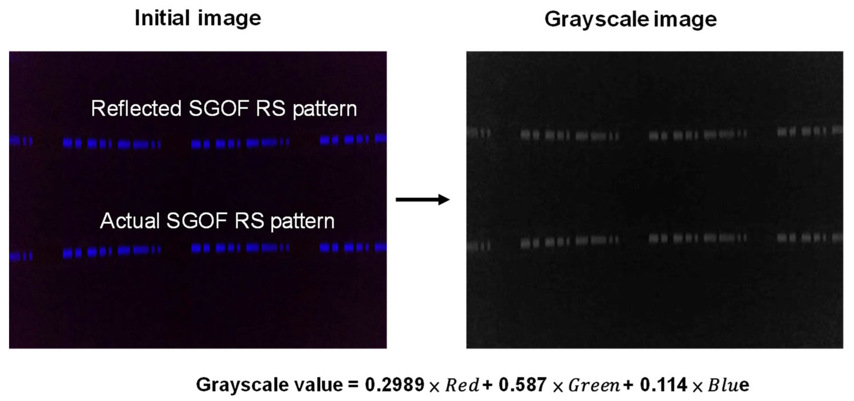 Applsci 14 07840 g004 Applsci 14 07840 g004