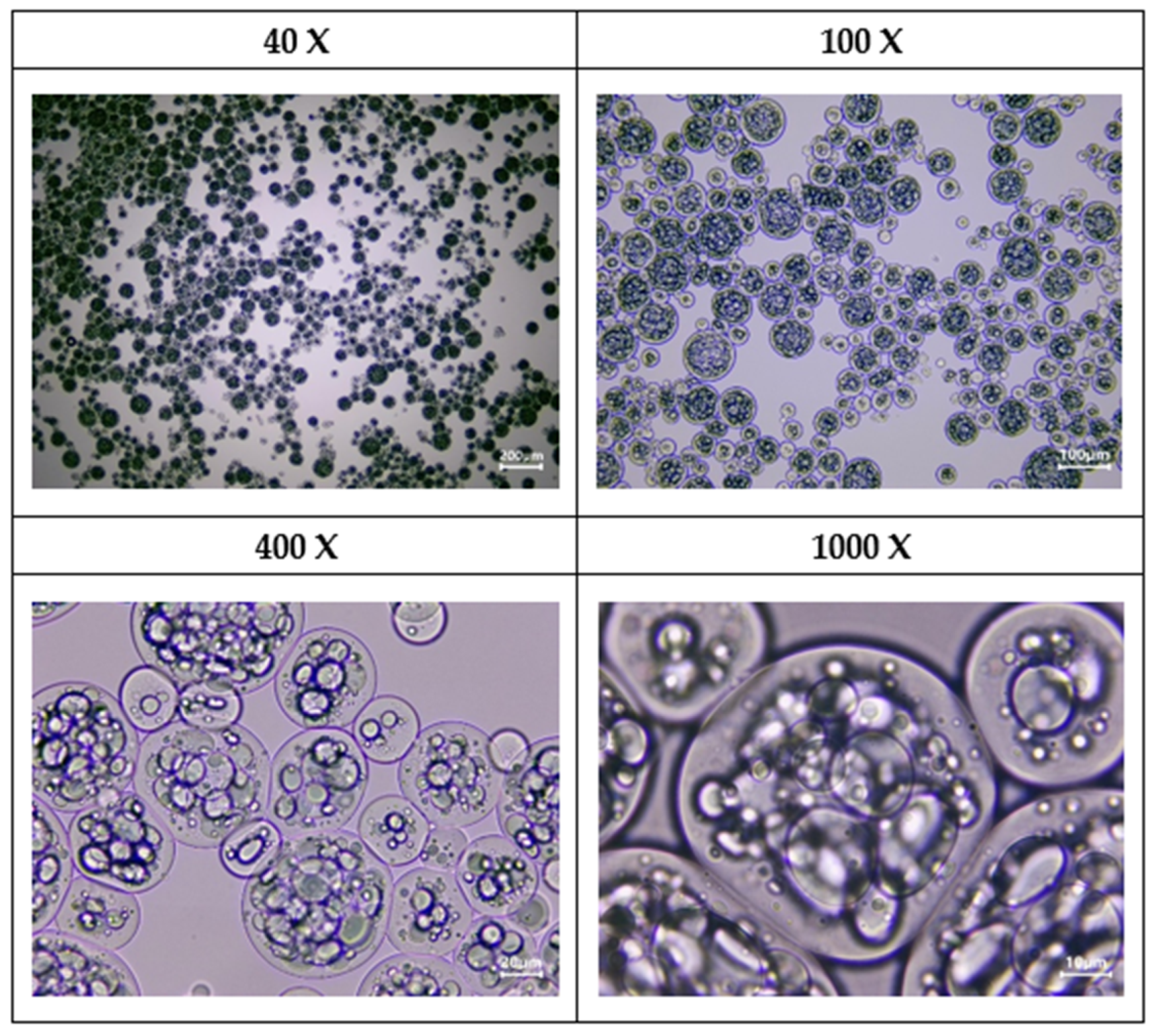 Applsci 14 07867 g005