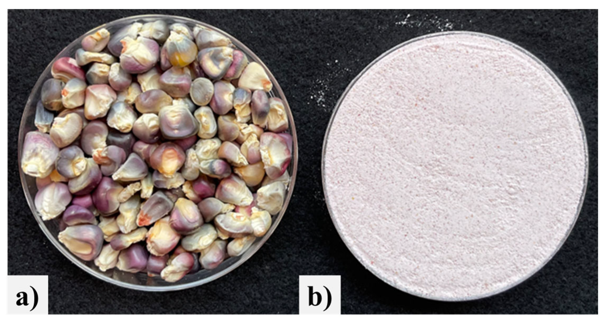 Applsci 14 07869 g001