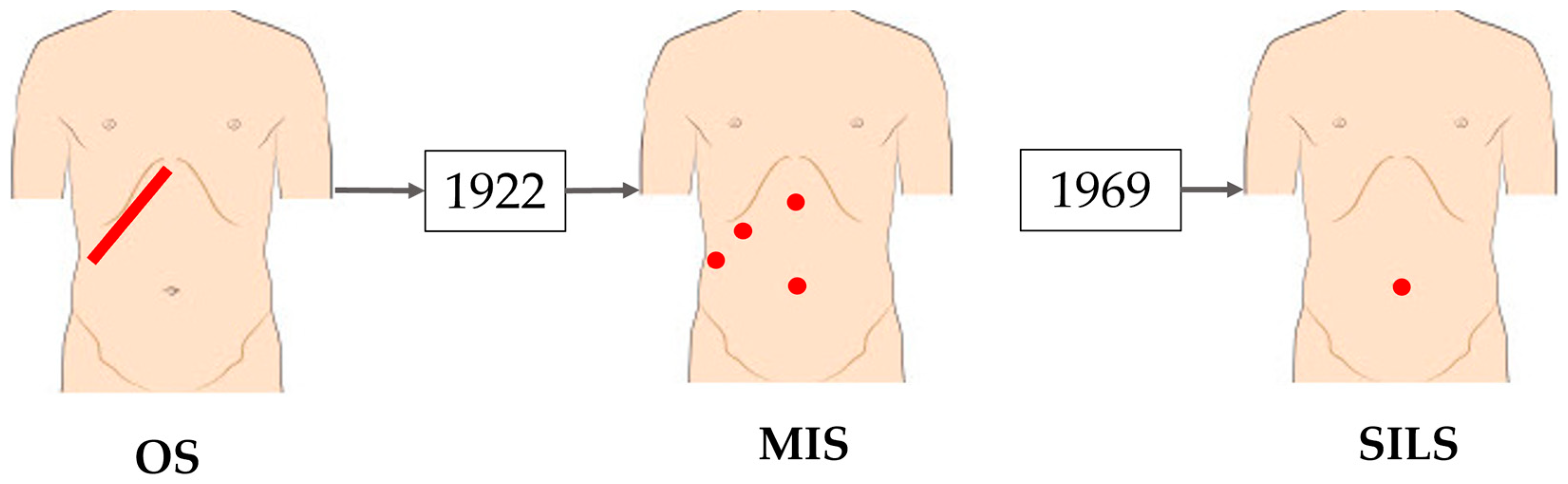 Applsci 14 07925 g001