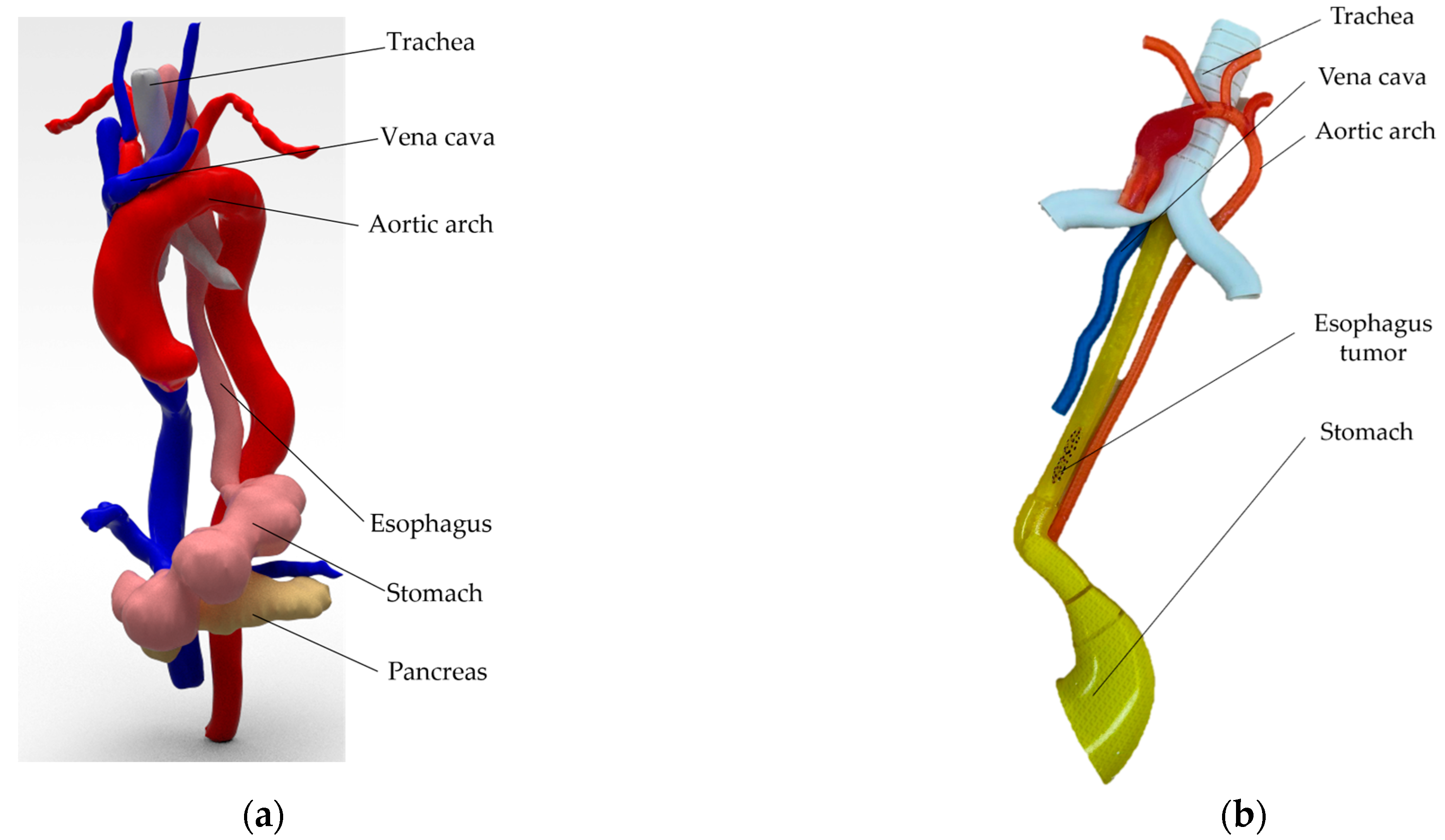 Applsci 14 07925 g016
