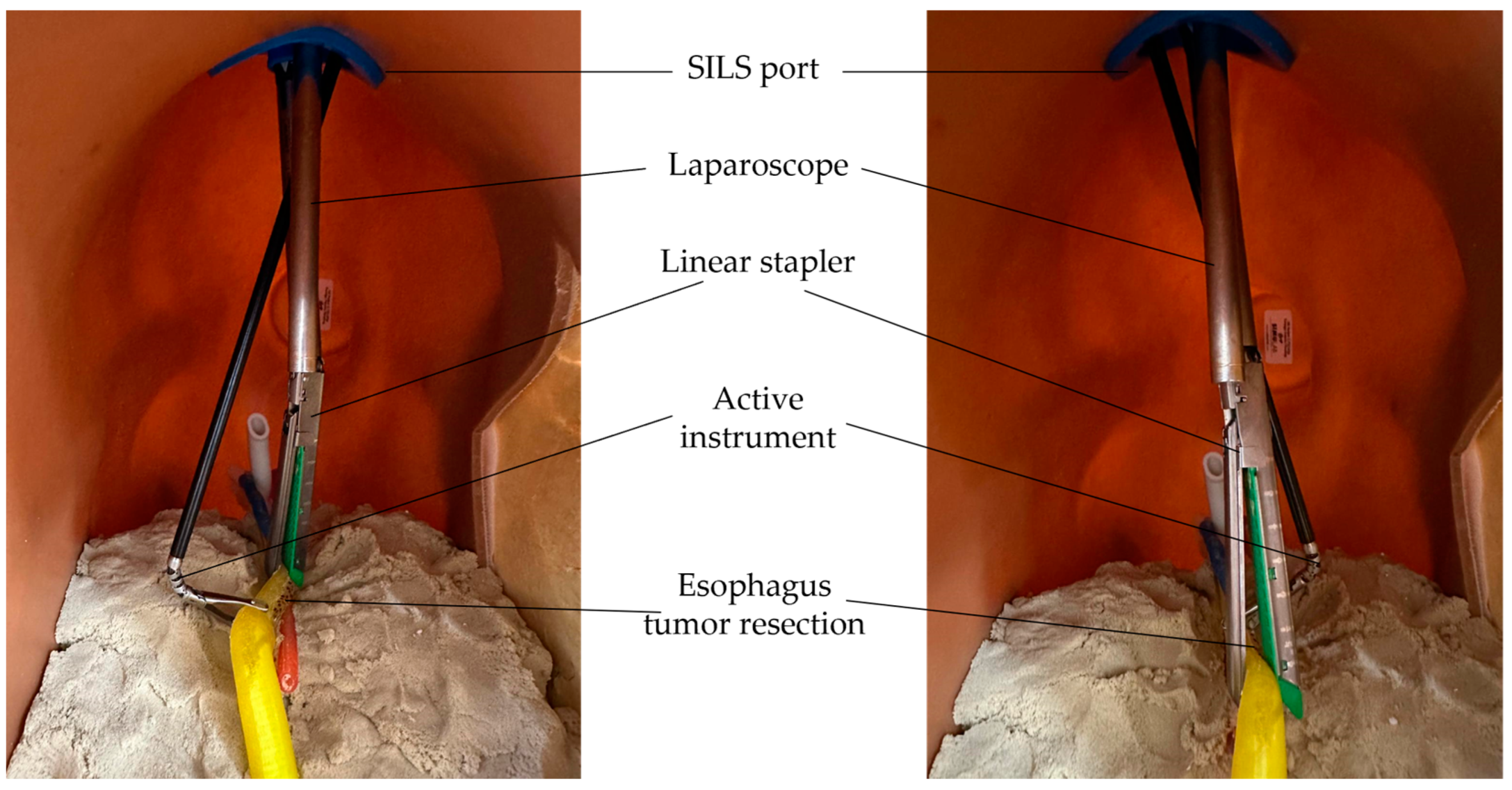 Applsci 14 07925 g020