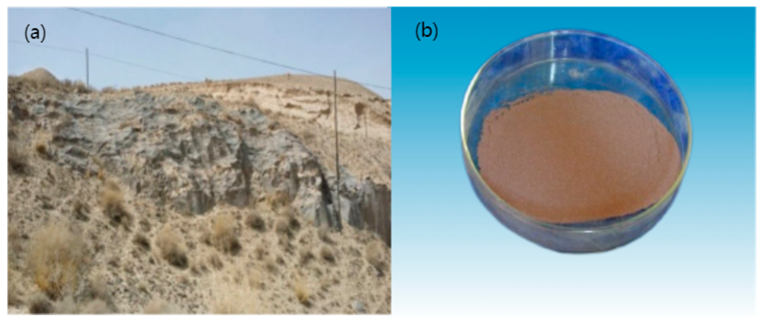 セール特価 Activity Enhancement Silica-Alumina Xinjiang of Study 美容液