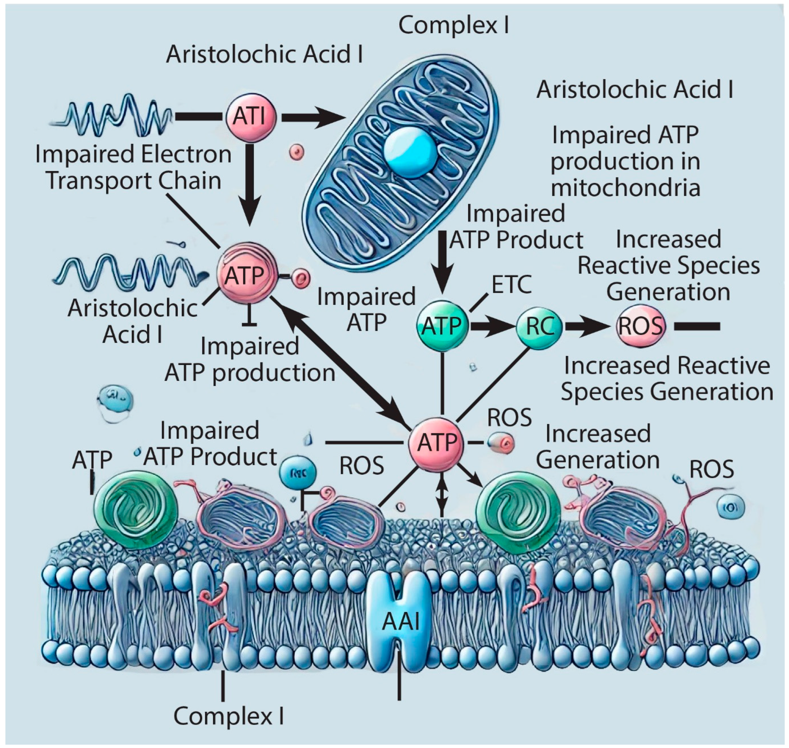 Applsci 14 07961 g002 Applsci 14 07961 g002