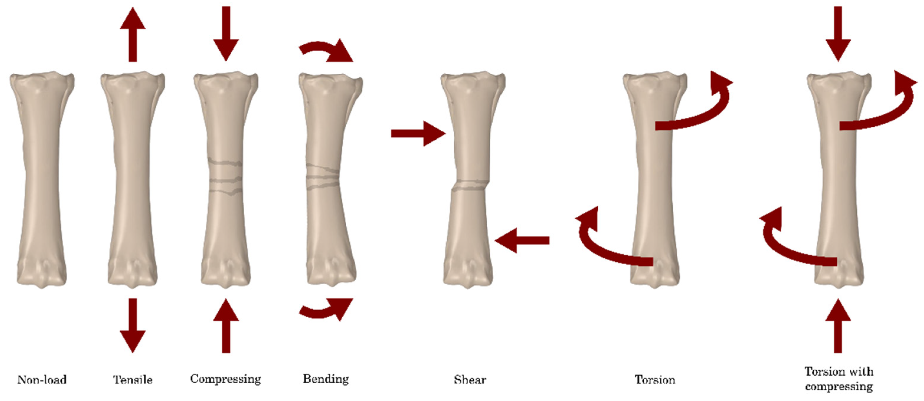 Applsci 14 07976 g001 Applsci 14 07976 g001