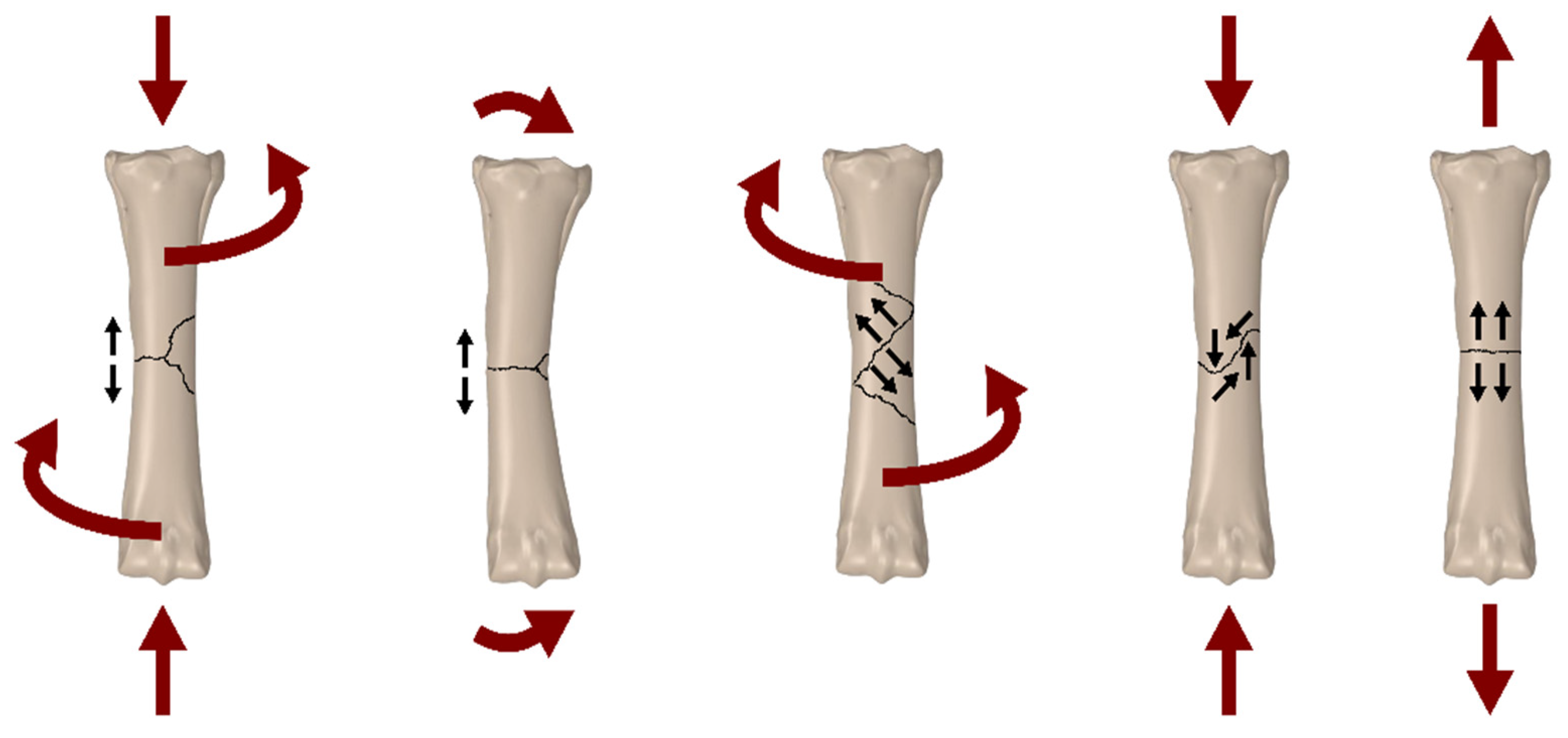 Applsci 14 07976 g002 Applsci 14 07976 g002