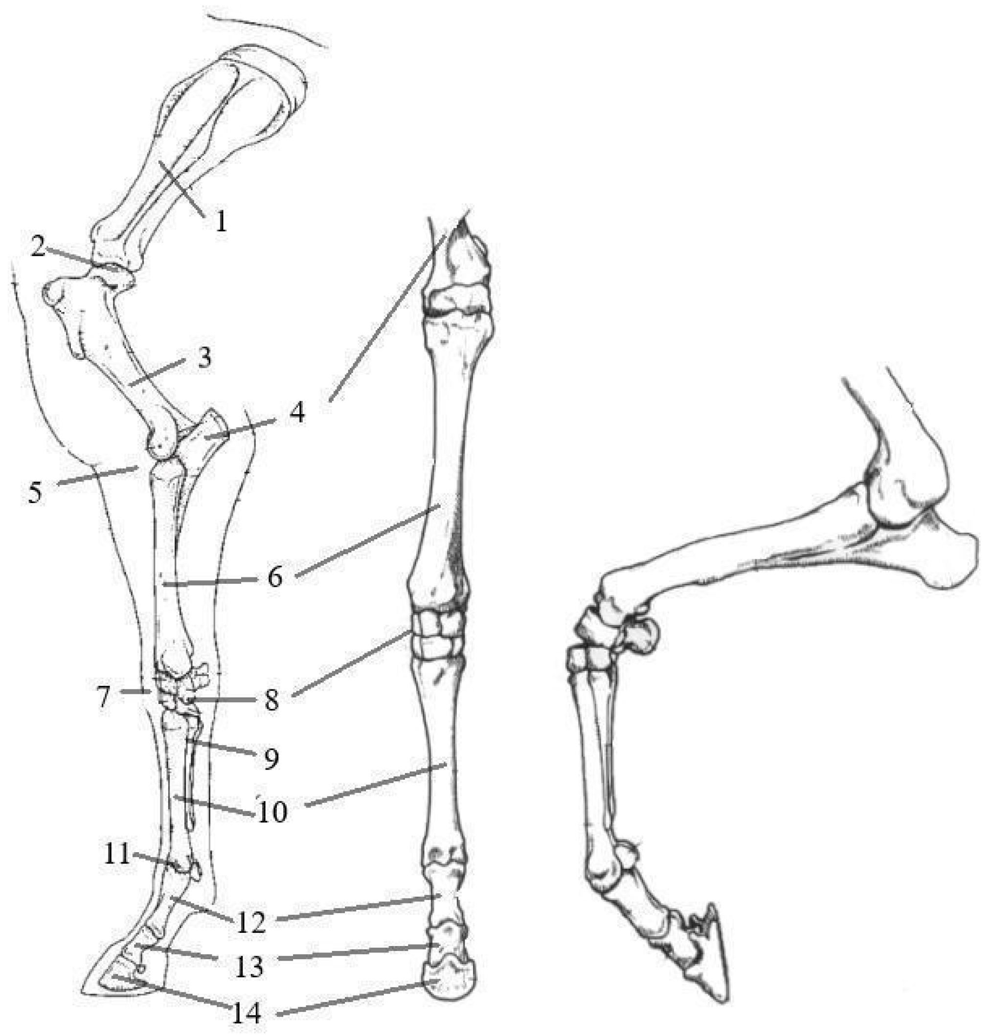 Applsci 14 07976 g004 Applsci 14 07976 g004