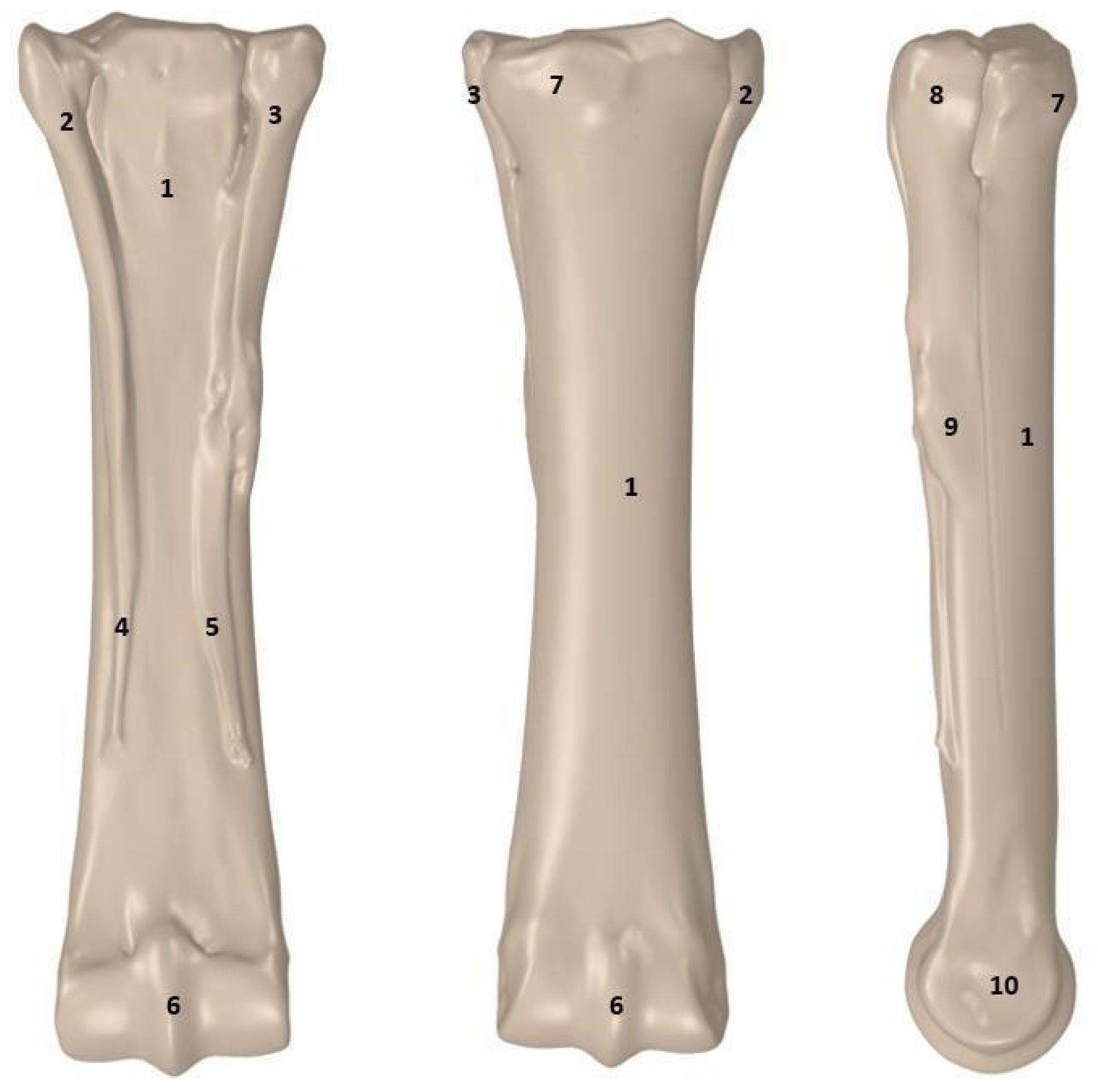 Applsci 14 07976 g005 Applsci 14 07976 g005