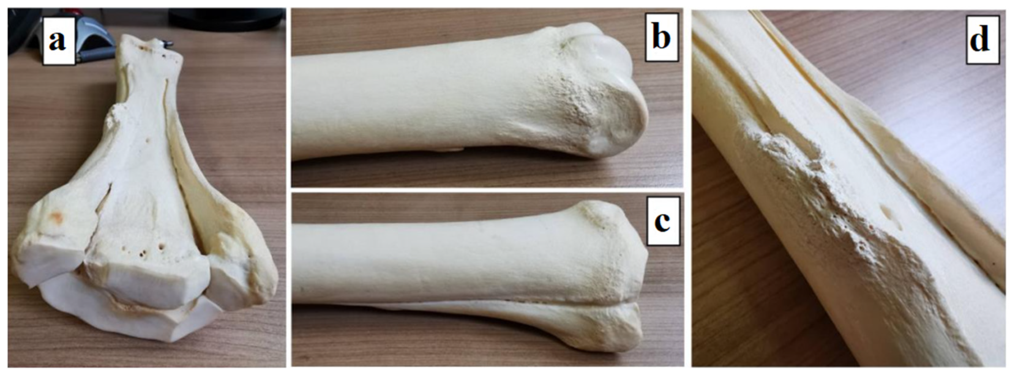 Applsci 14 07976 g006 Applsci 14 07976 g006