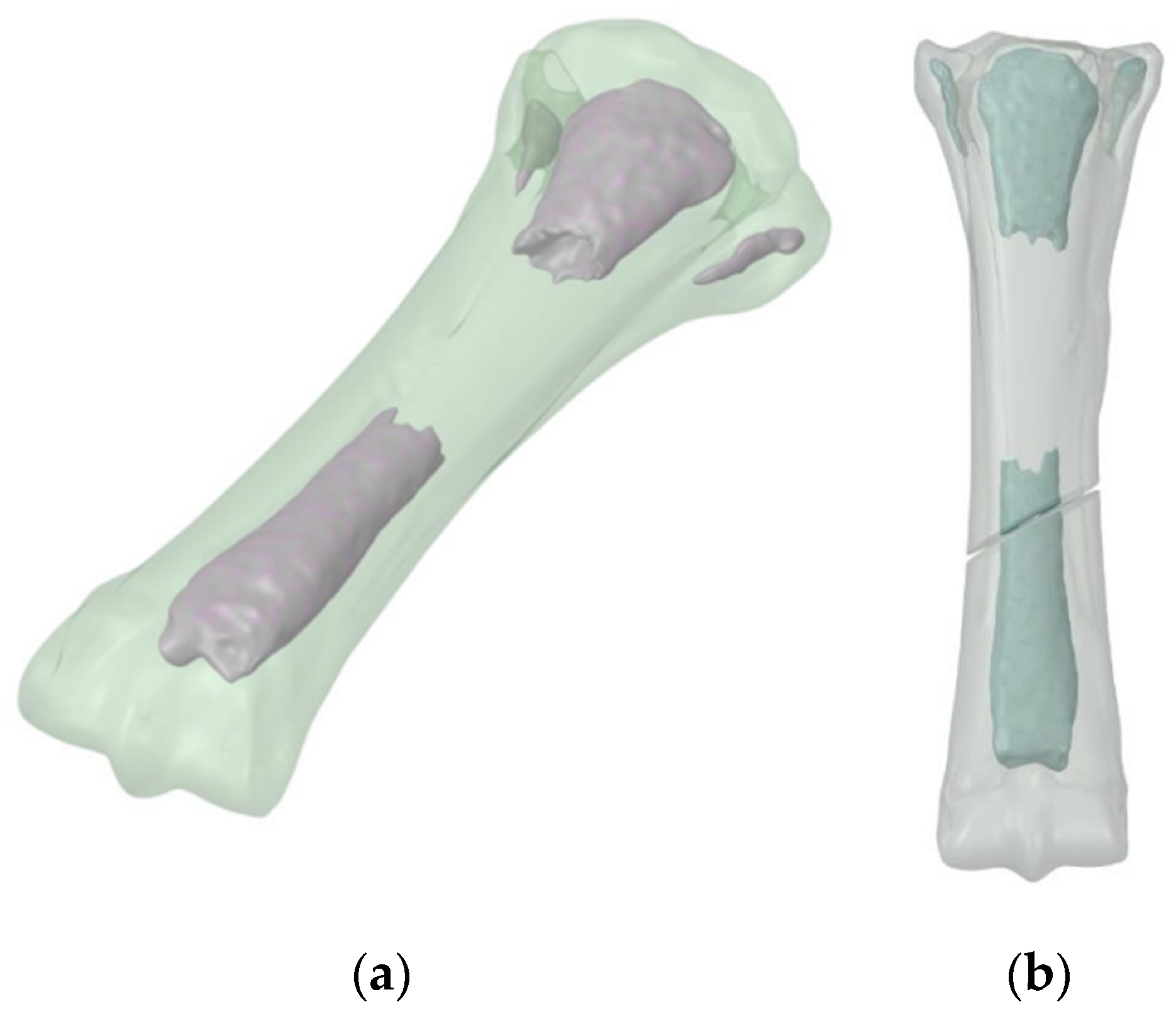 Applsci 14 07976 g007 Applsci 14 07976 g007