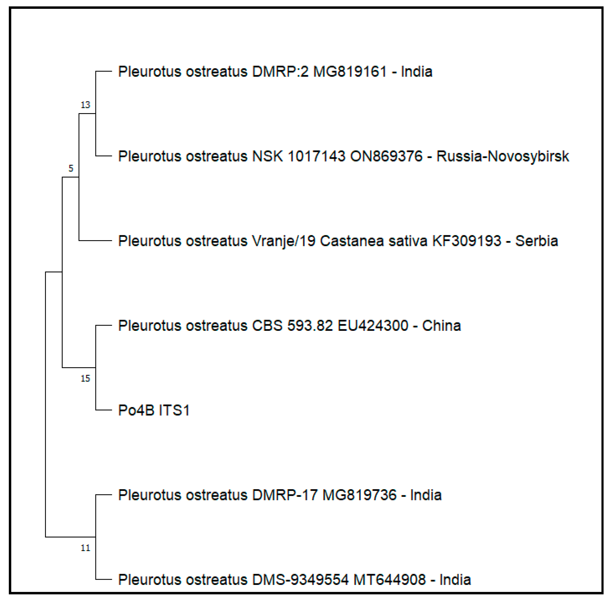 Applsci 14 07980 g001