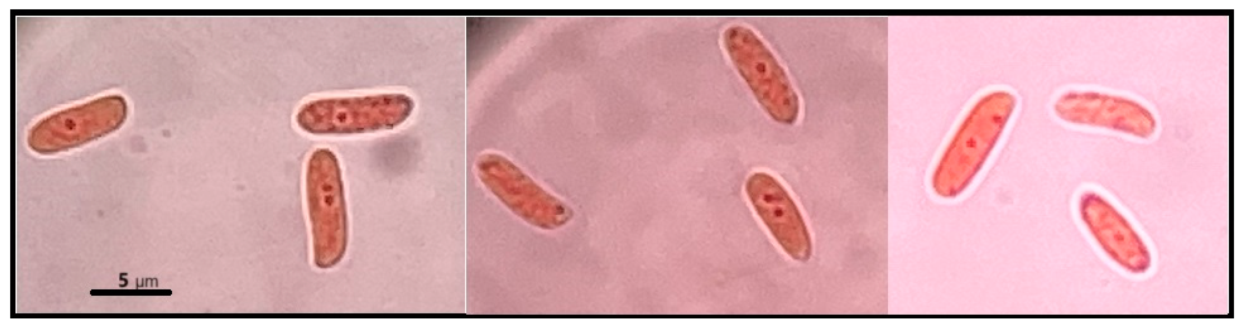 Applsci 14 07980 g002