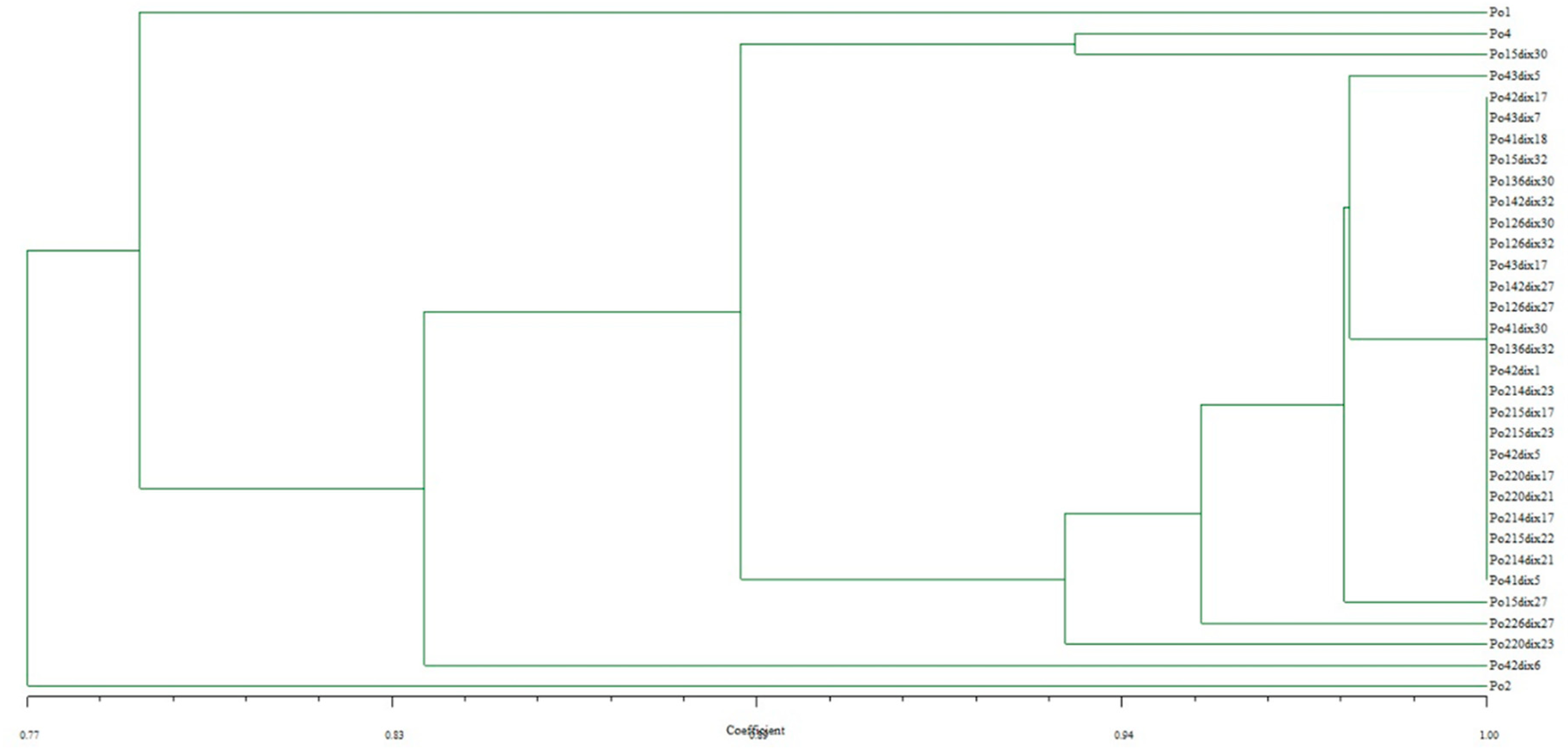 Applsci 14 07980 g004