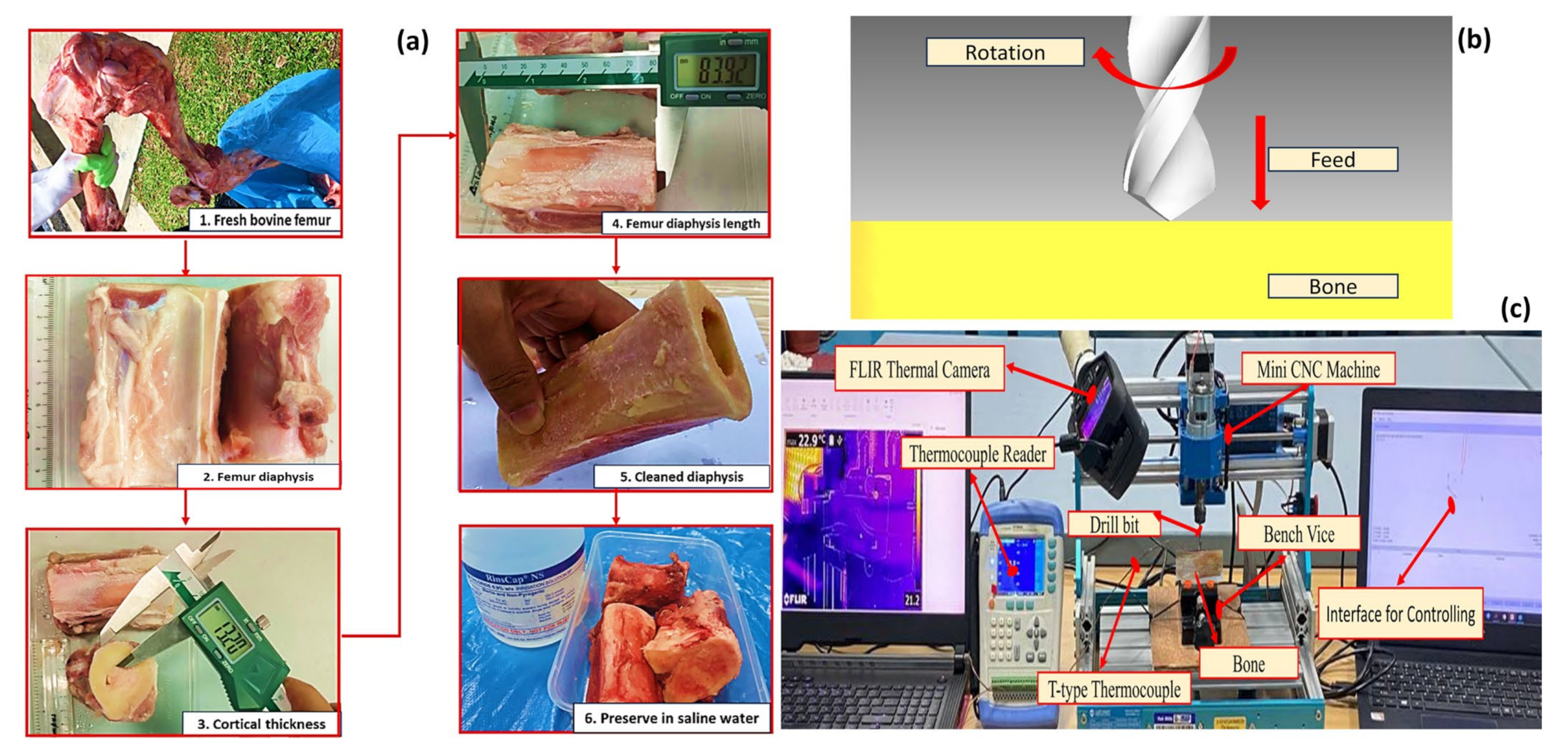 Applsci 14 08001 g001 Applsci 14 08001 g001
