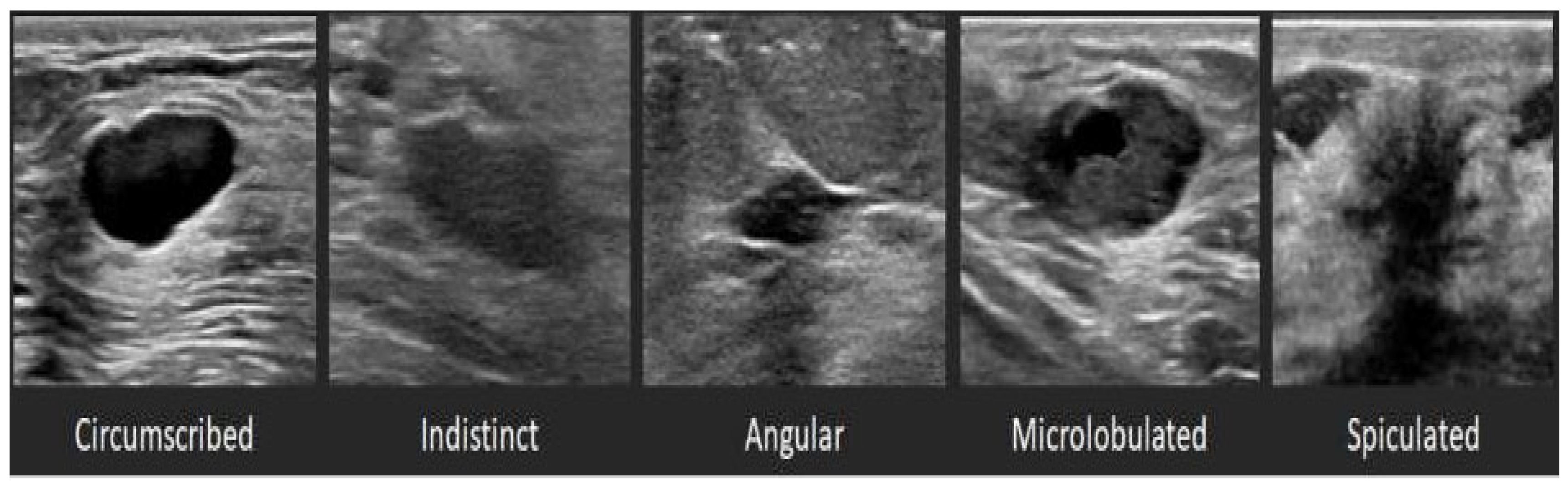 Applsci 14 08003 g004