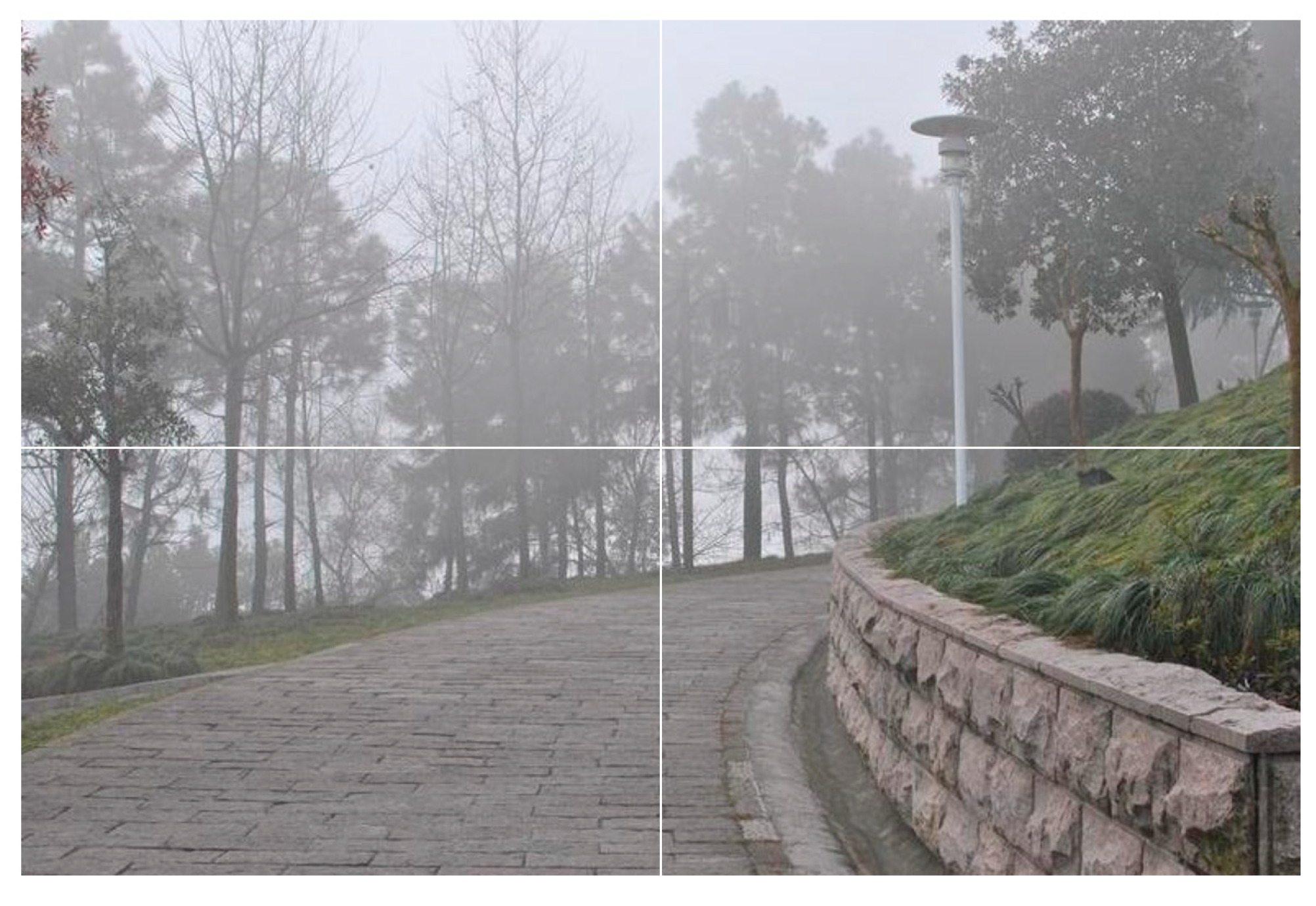 Applsci 14 08019 g006