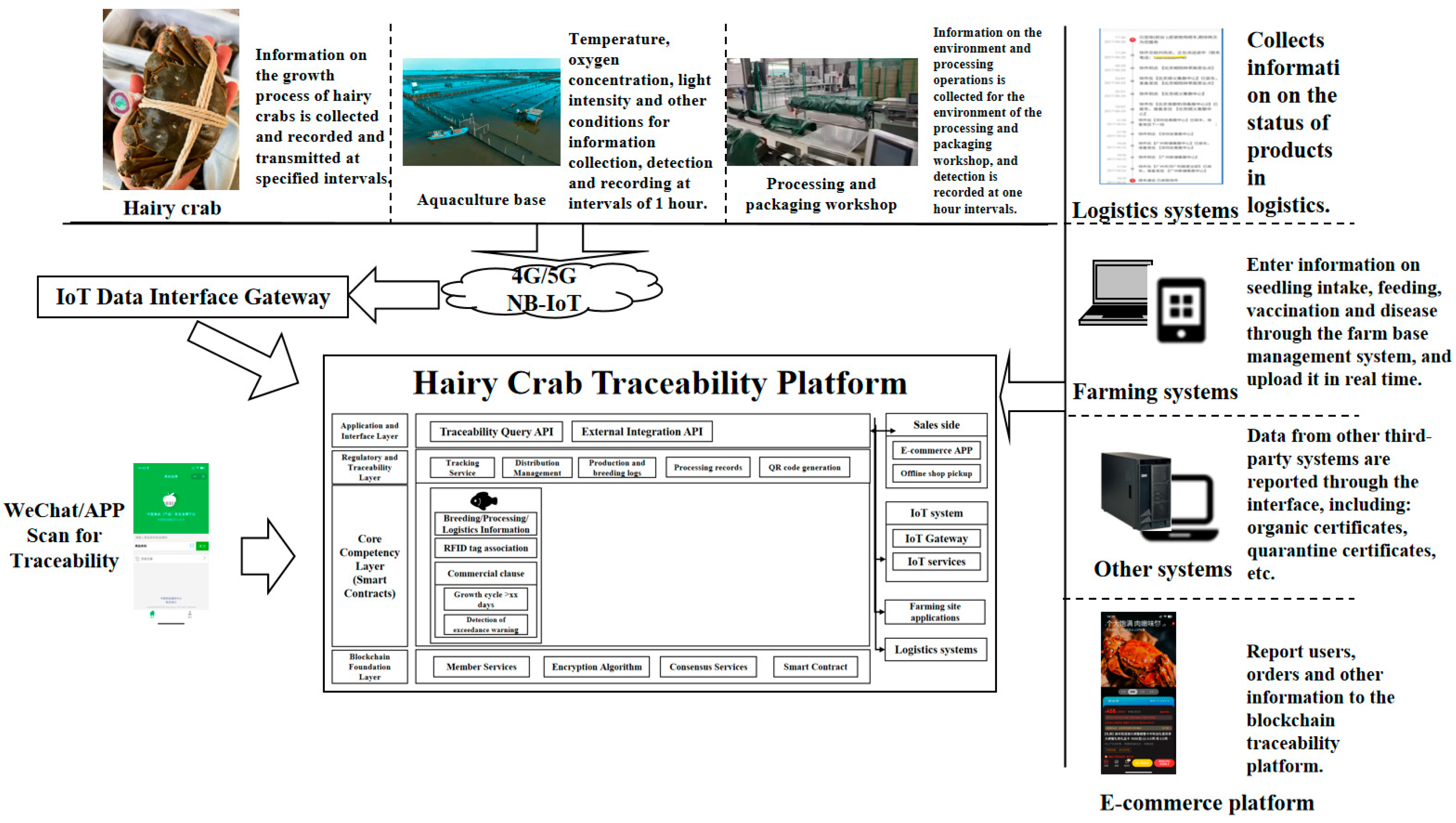 Applsci 14 08027 g009