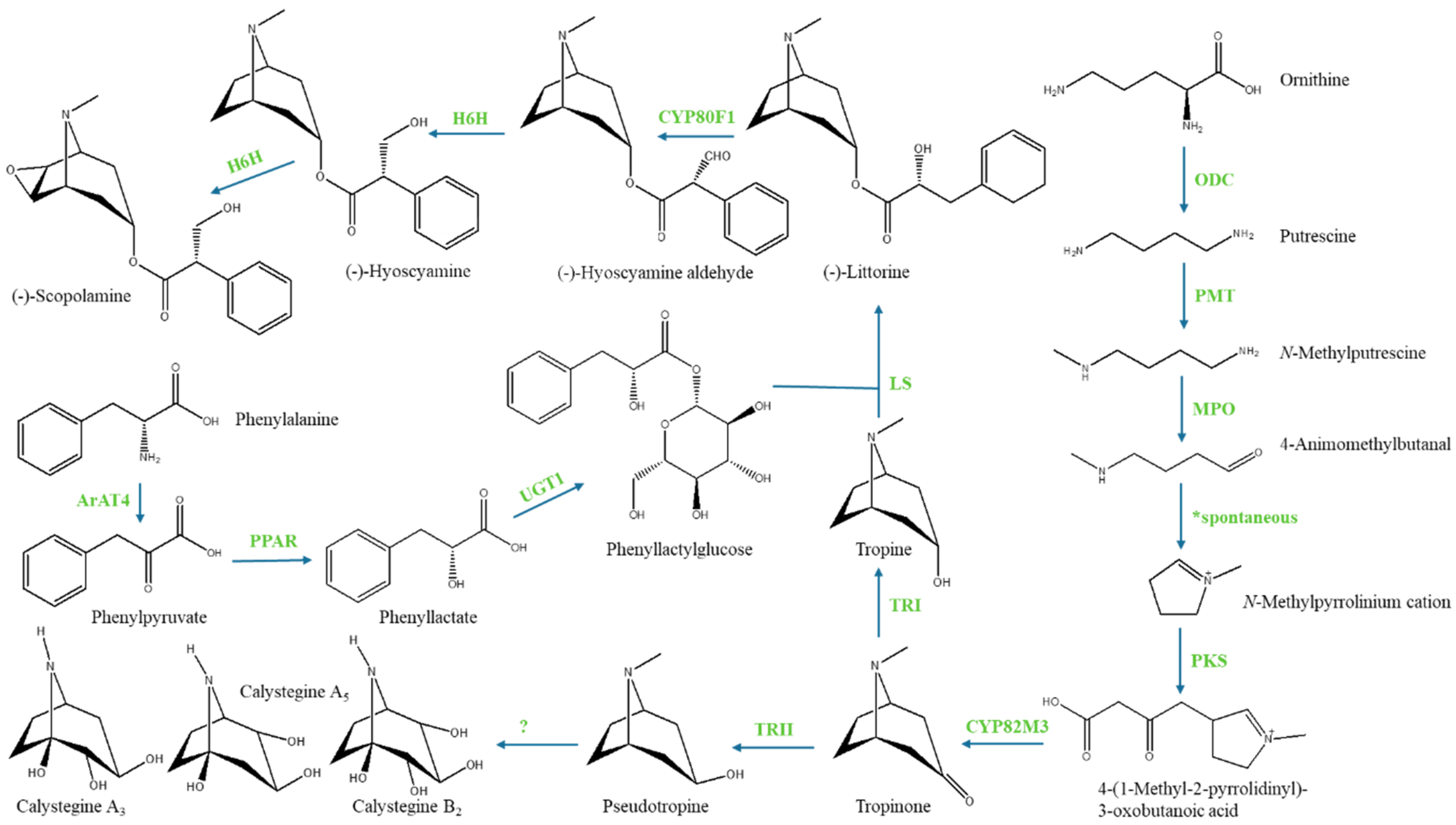 Applsci 14 08058 g002