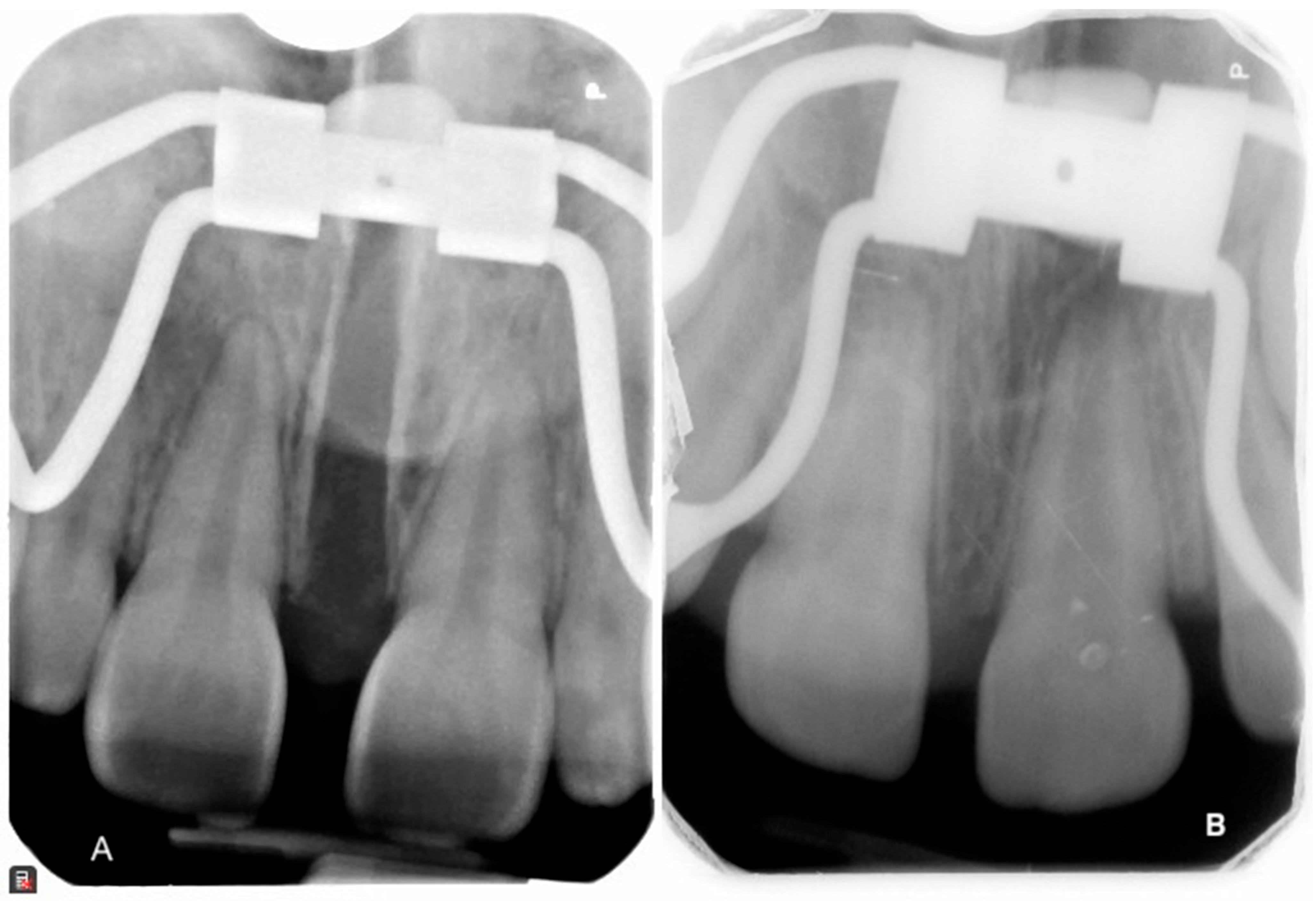 Applsci 14 08095 g013 Applsci 14 08095 g013