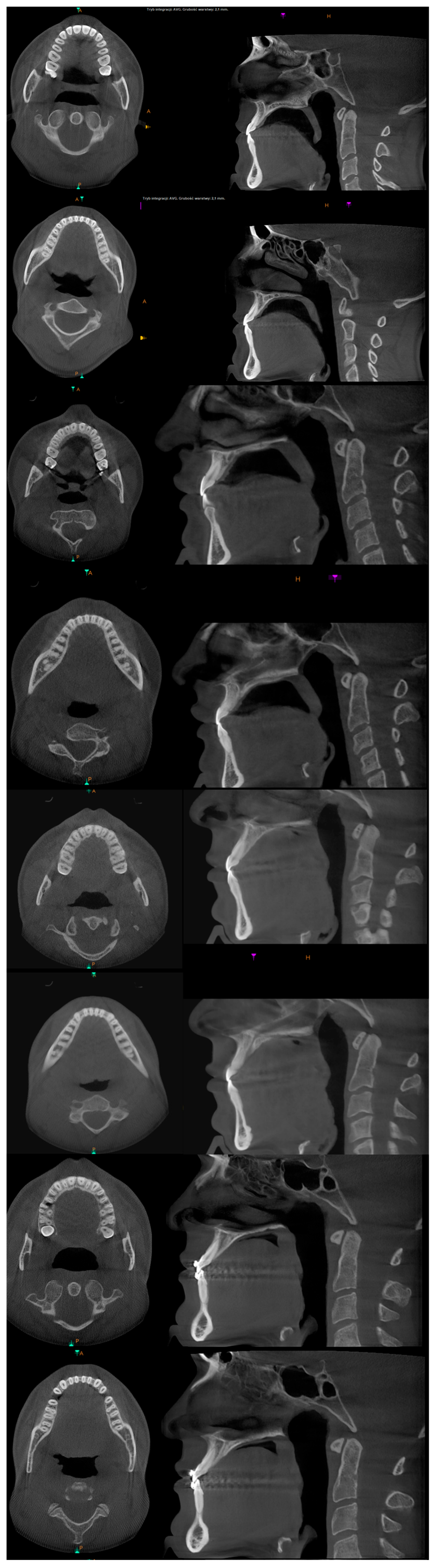 Applsci 14 08095 g025 Applsci 14 08095 g025