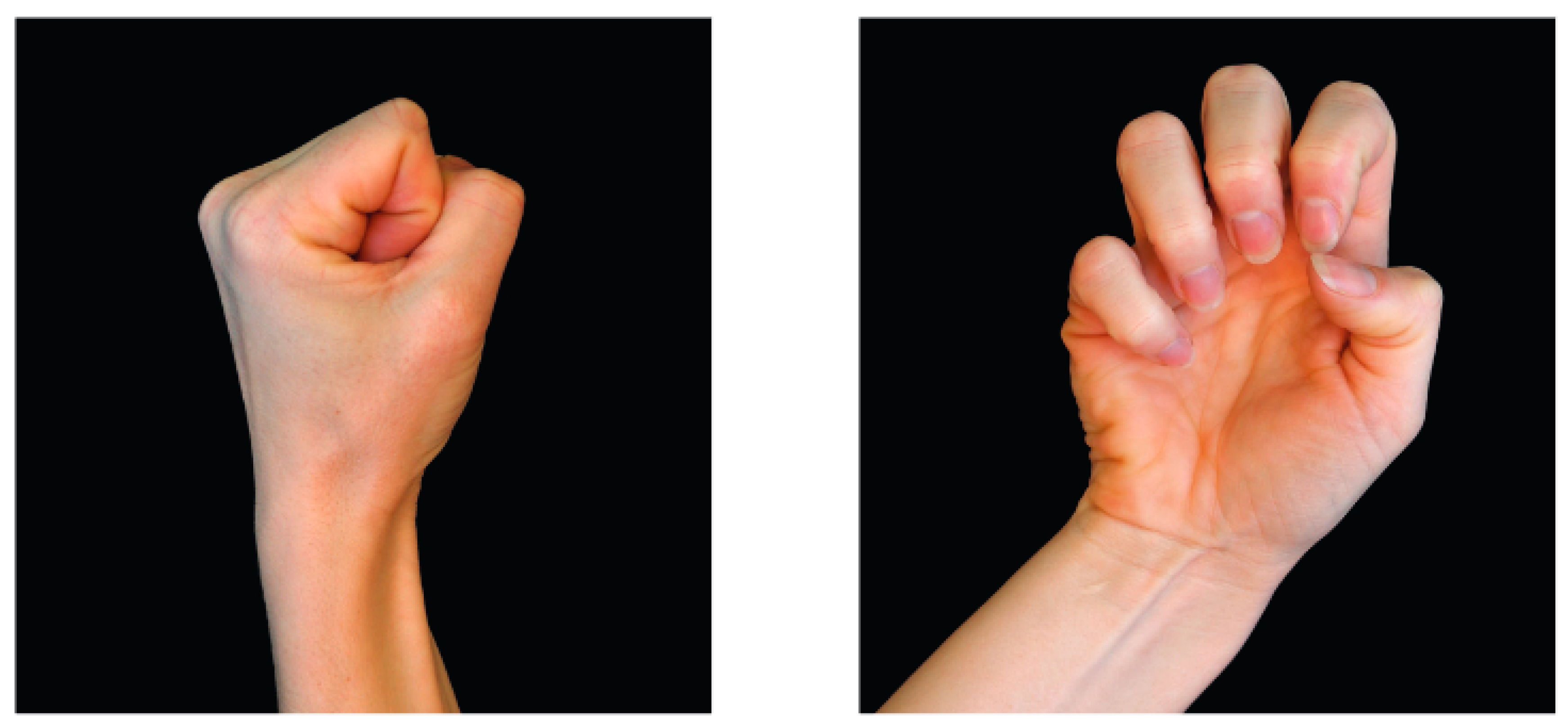 Applsci 14 08102 g001