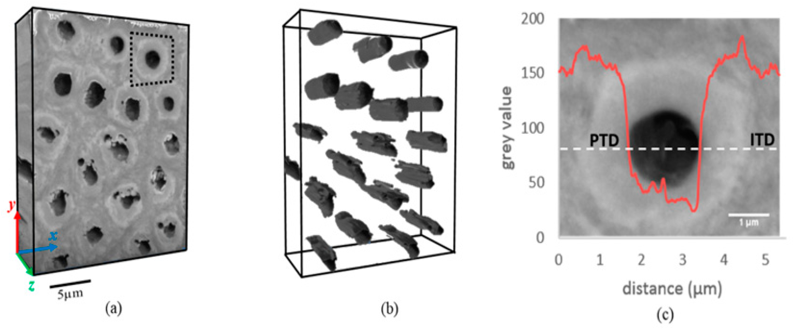 Applsci 14 08111 g001