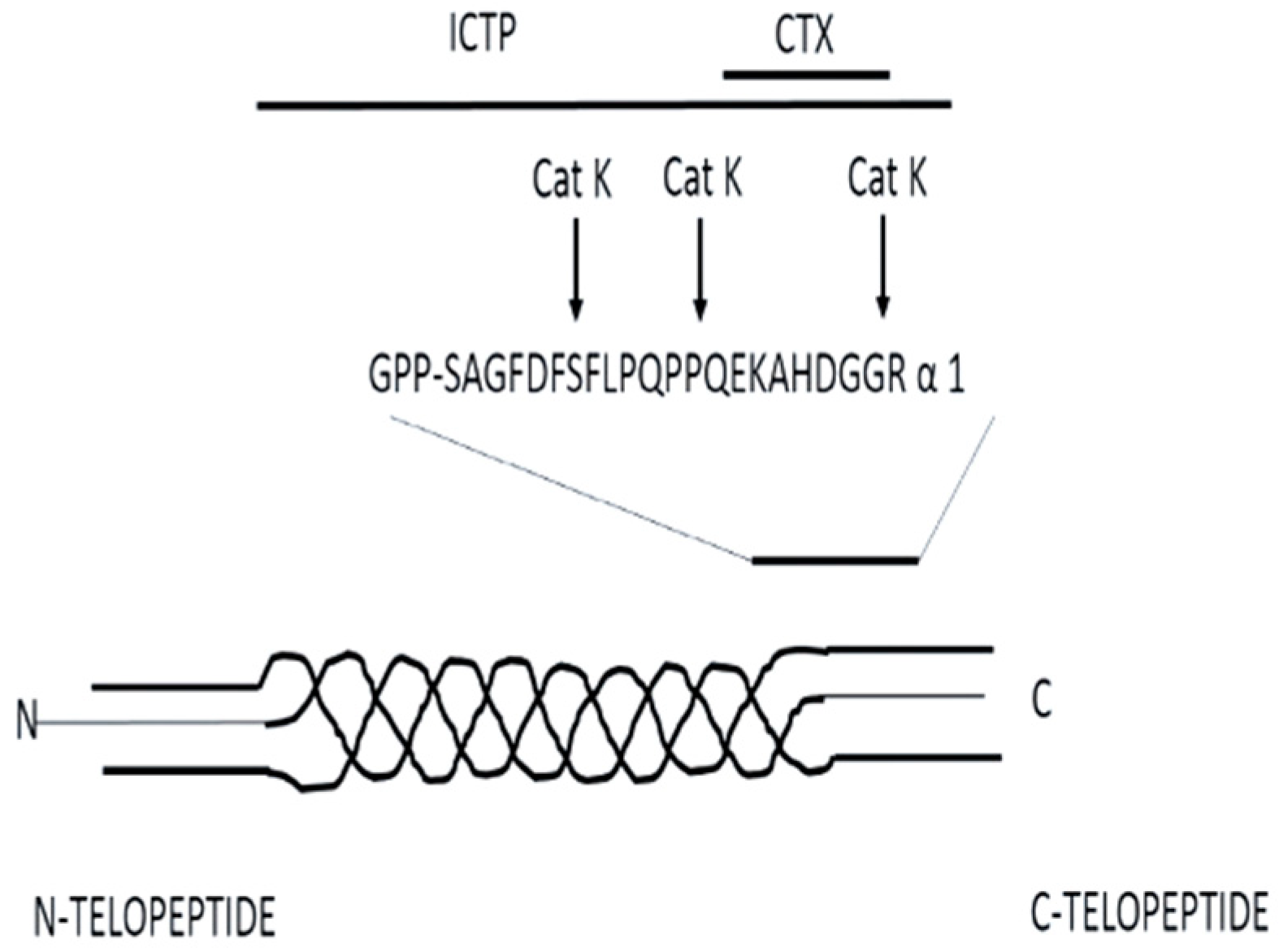 Applsci 14 08111 g002