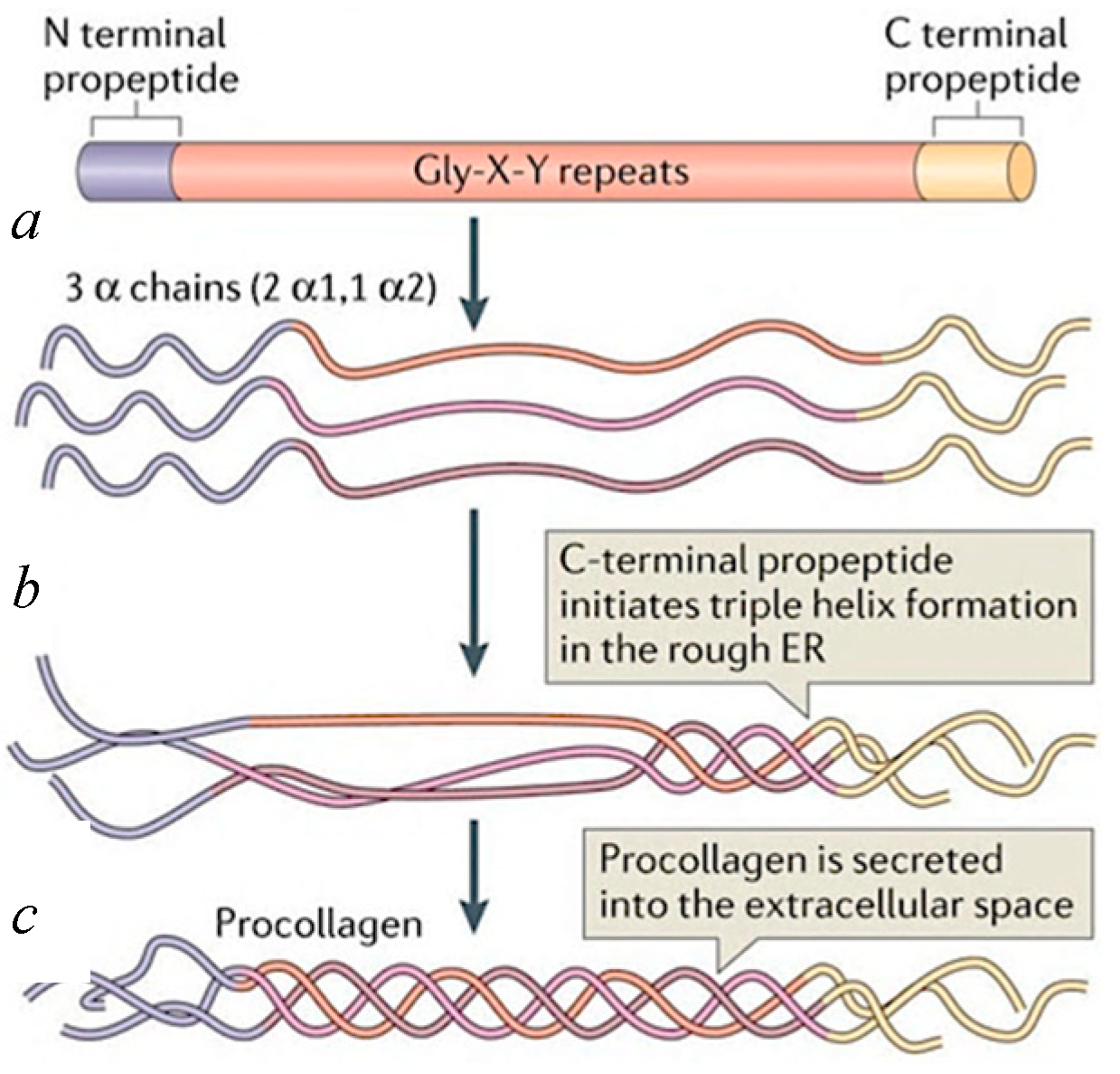 Applsci 14 08111 g003