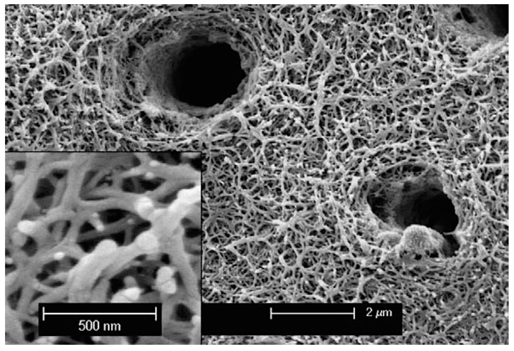 Applsci 14 08111 g005