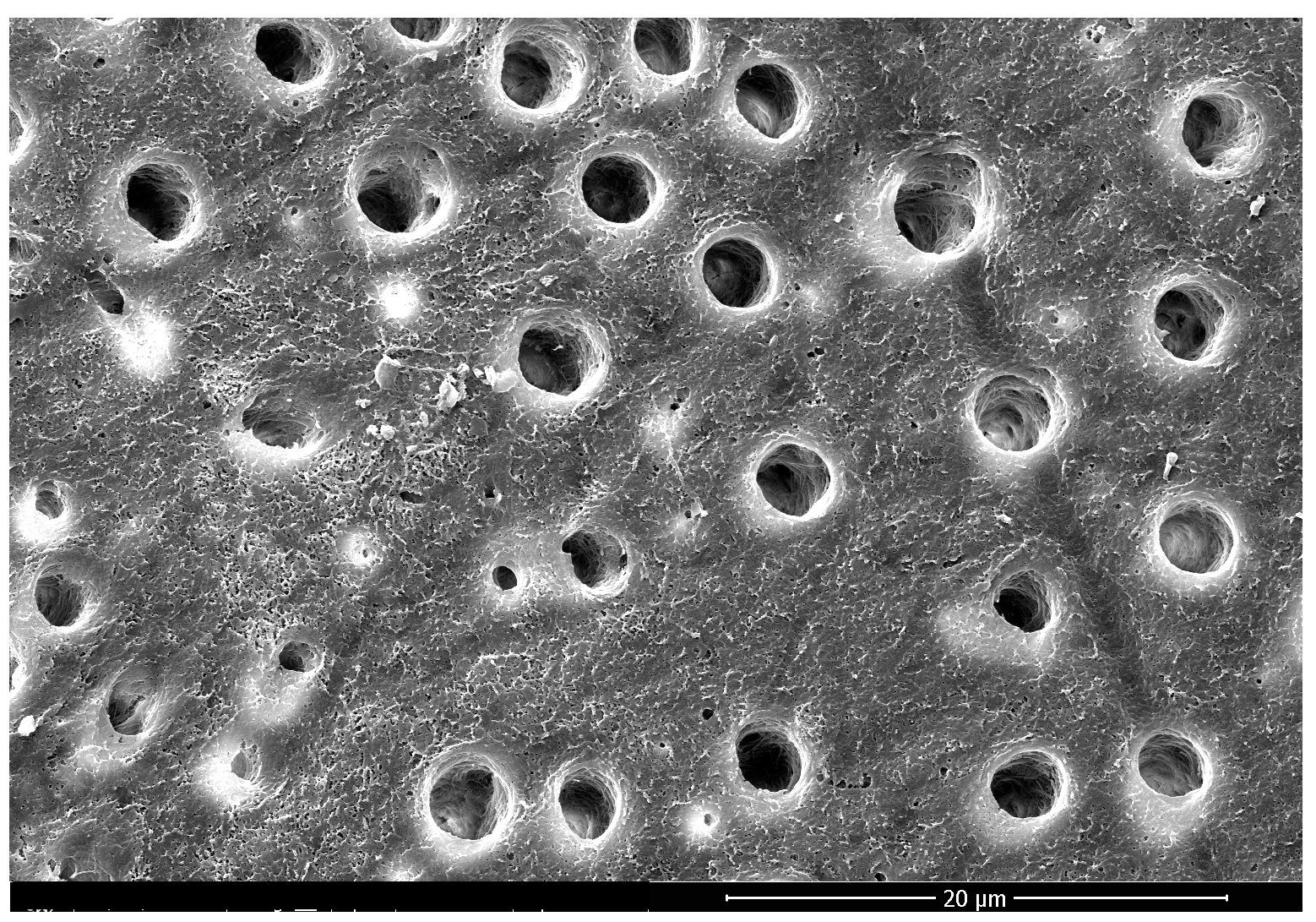 Applsci 14 08111 g009