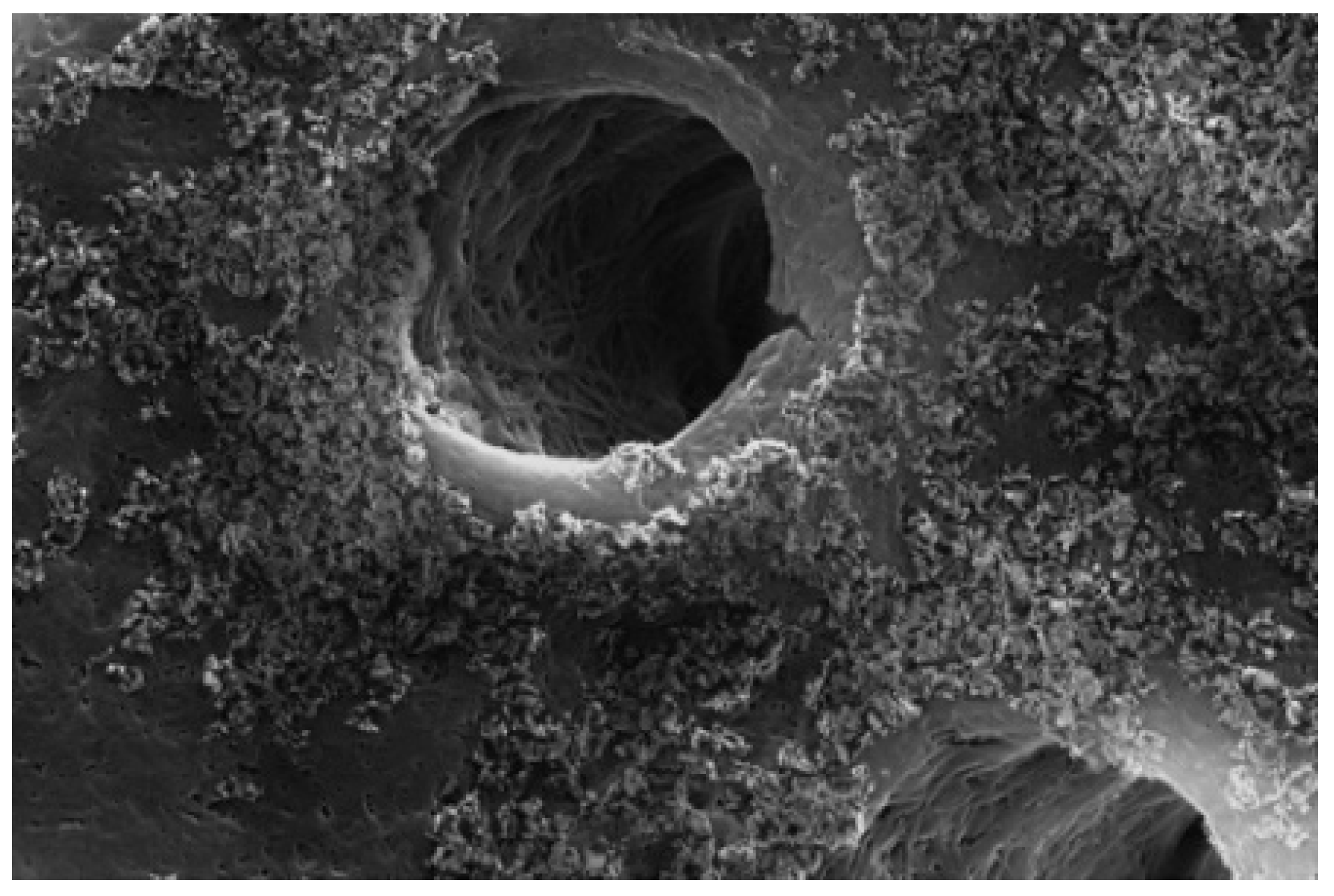 Applsci 14 08111 g010