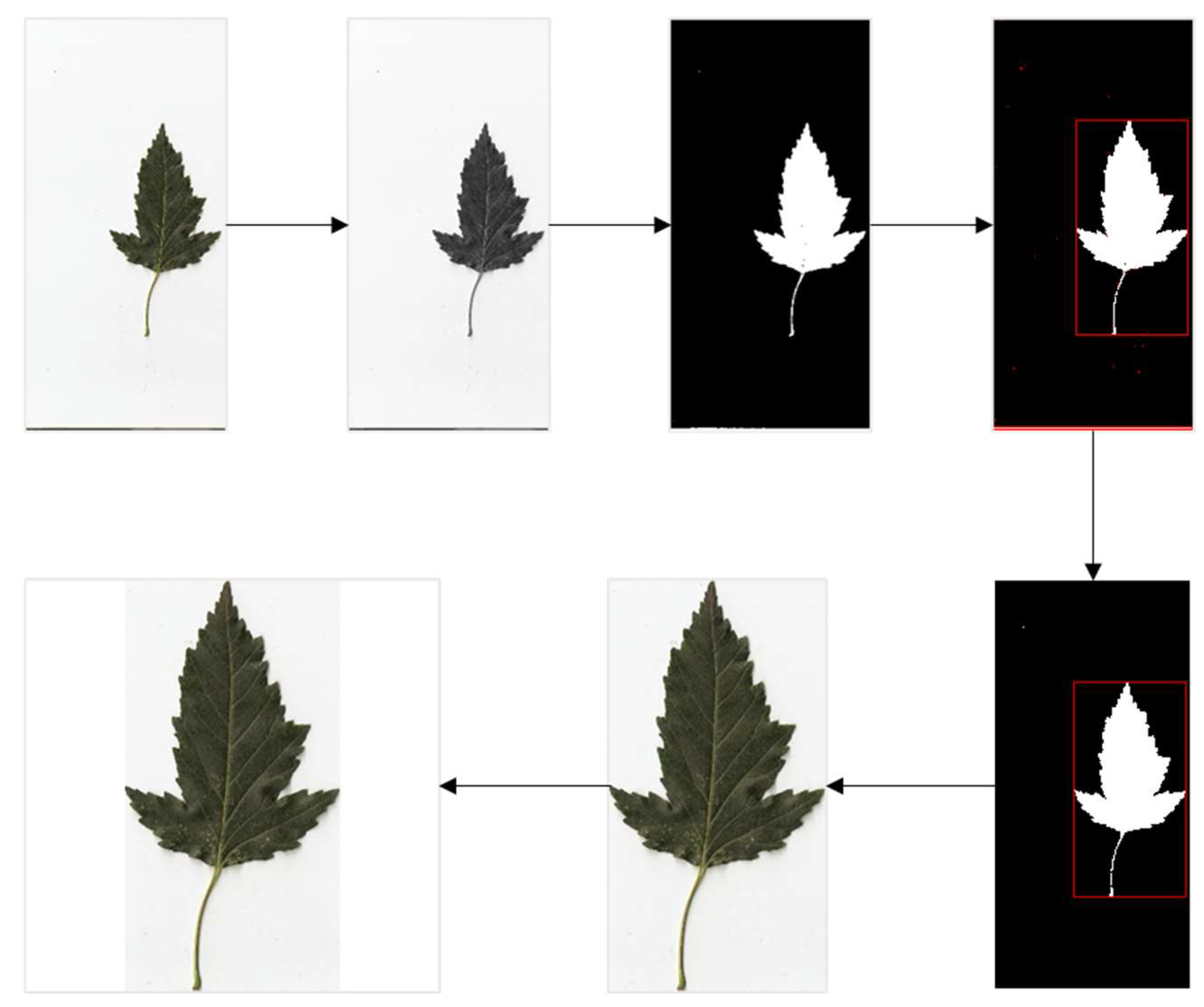 Applsci 14 08122 g003