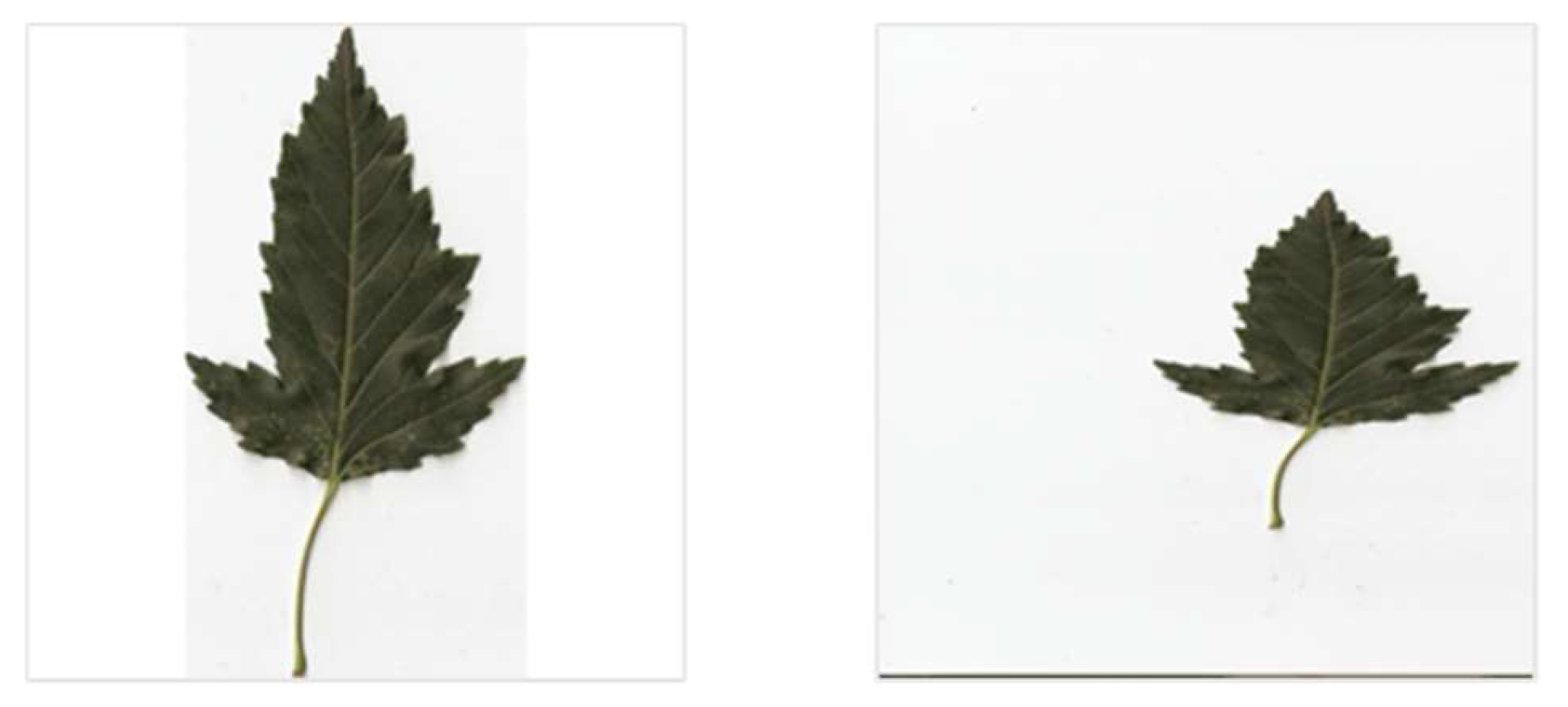 Applsci 14 08122 g004