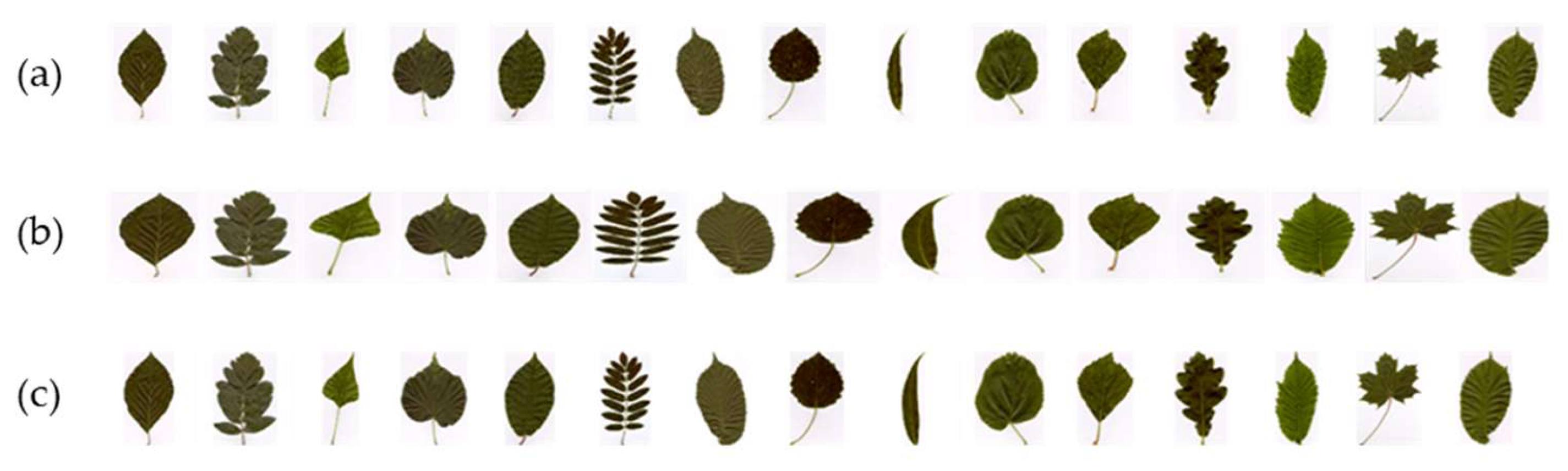 Applsci 14 08122 g009