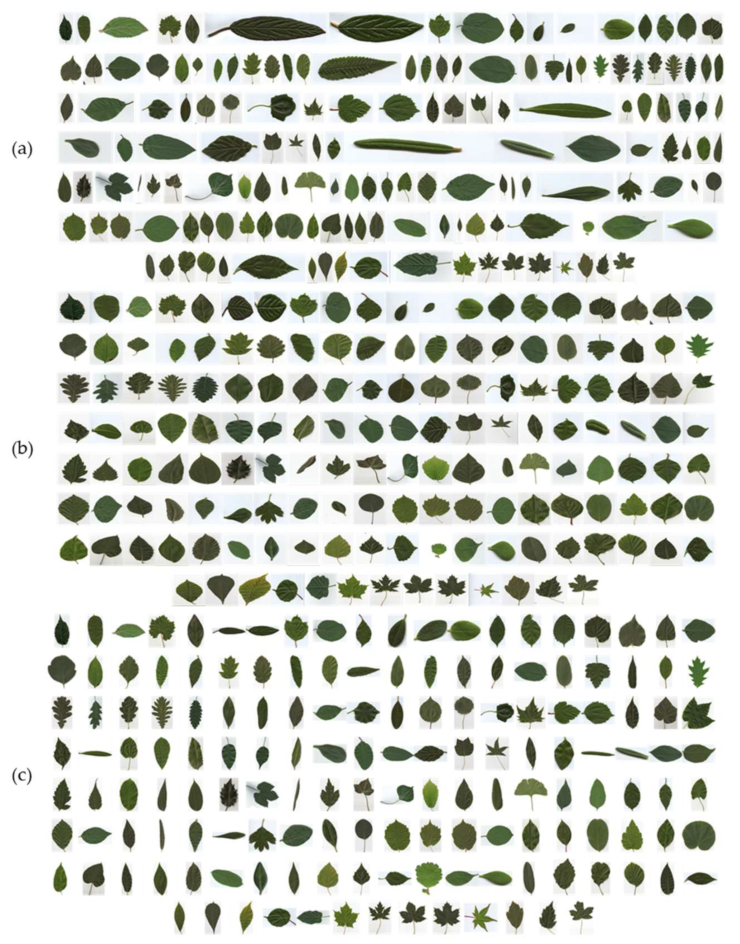 Applsci 14 08122 g013