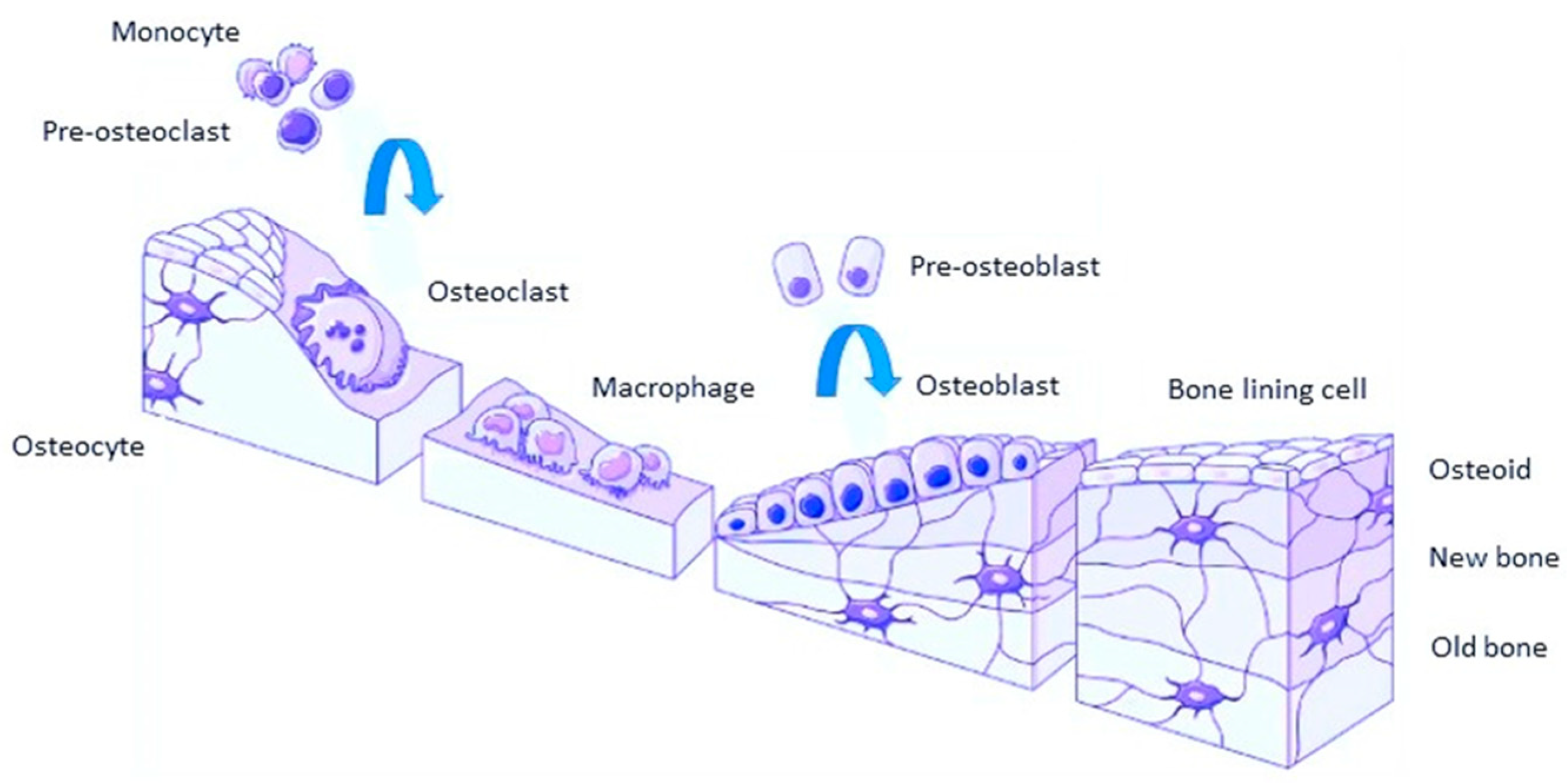Applsci 14 08124 g001 Applsci 14 08124 g001