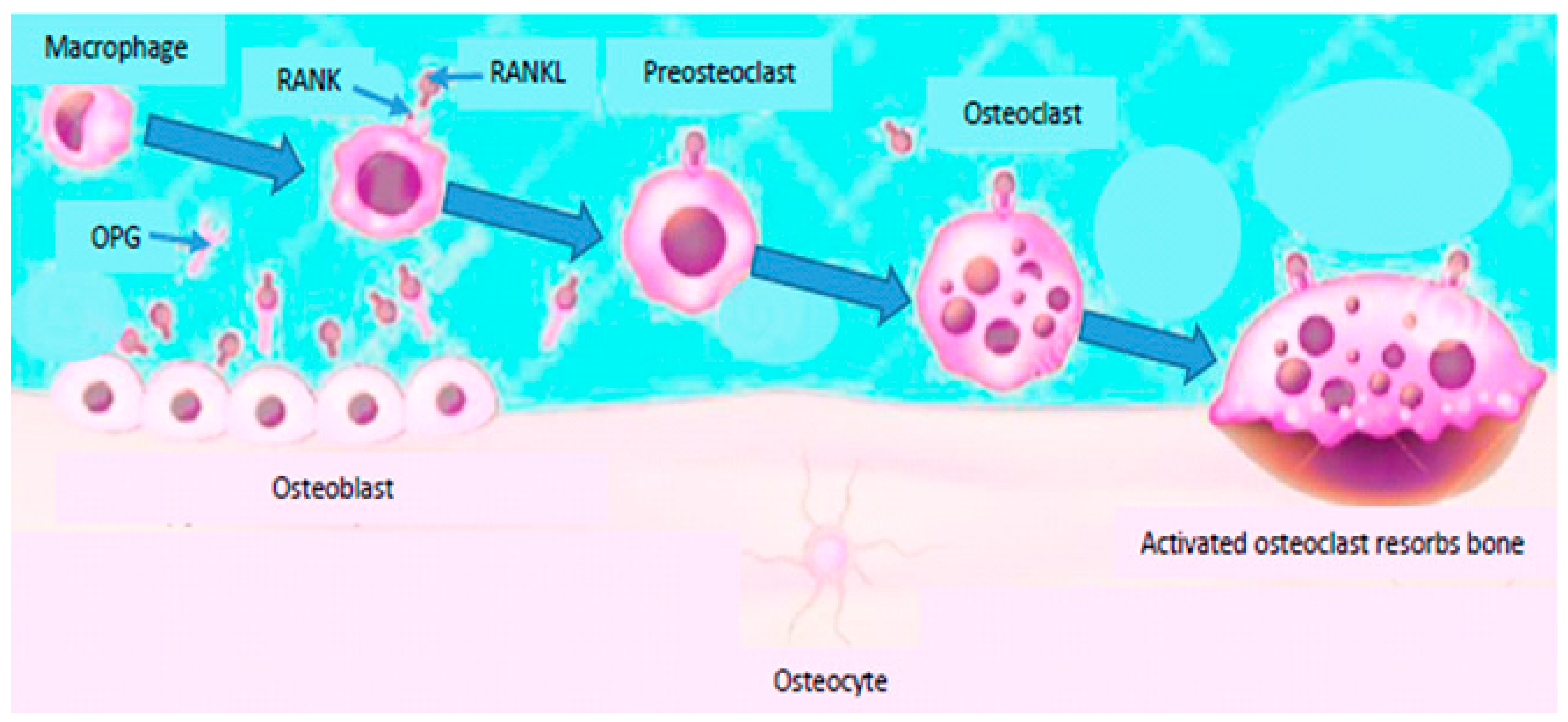 Applsci 14 08124 g002 Applsci 14 08124 g002