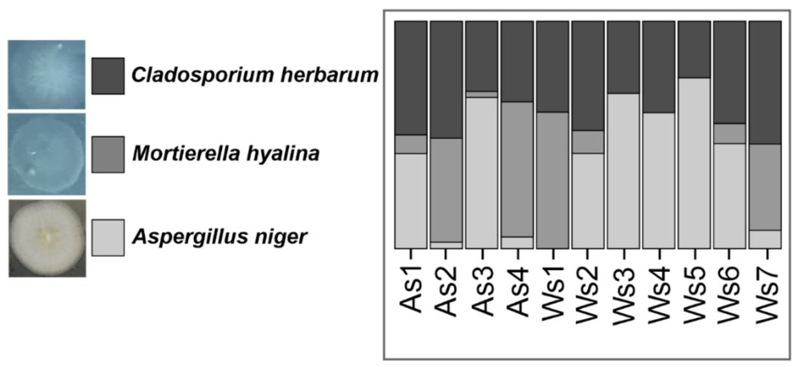 Applsci 14 08136 g011 Applsci 14 08136 g011