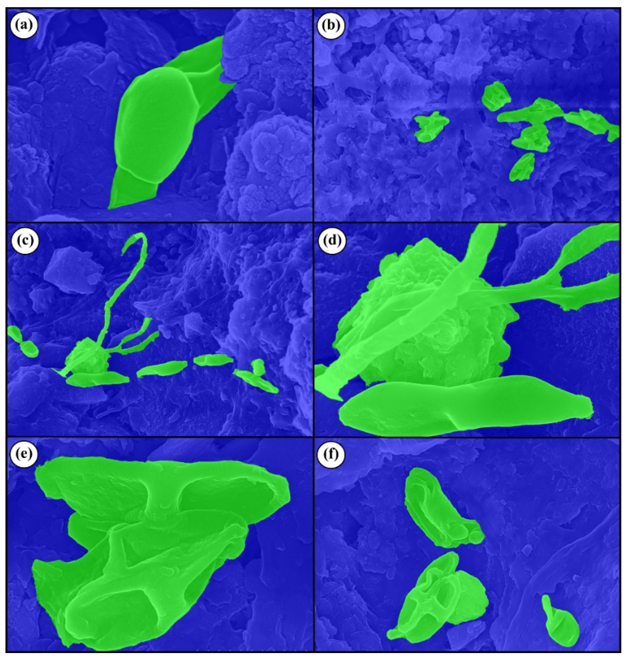 Applsci 14 08136 g012 Applsci 14 08136 g012