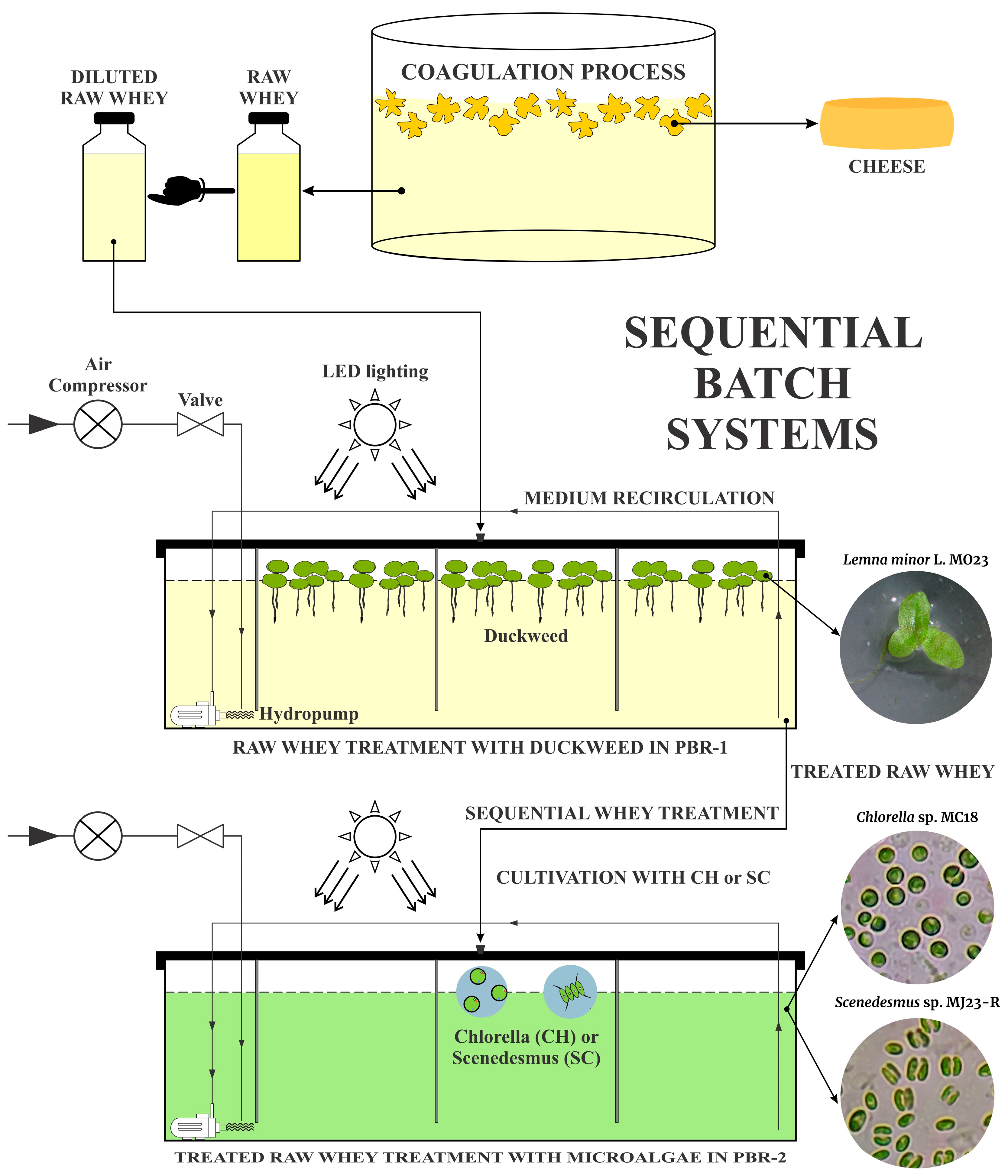 Applsci 14 08139 g001