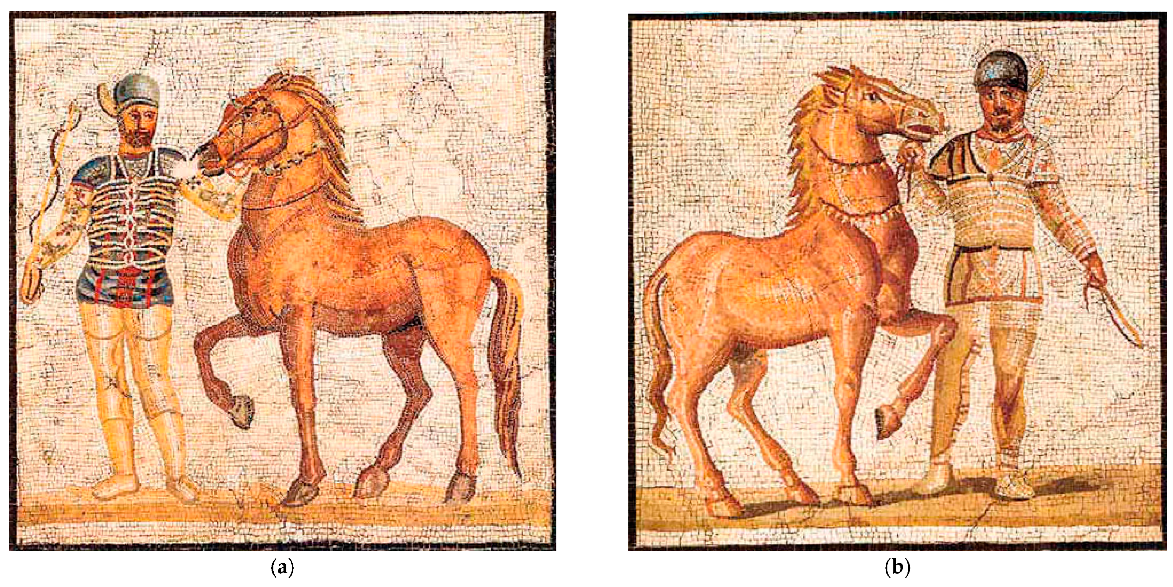 Applsci 14 08221 g001a